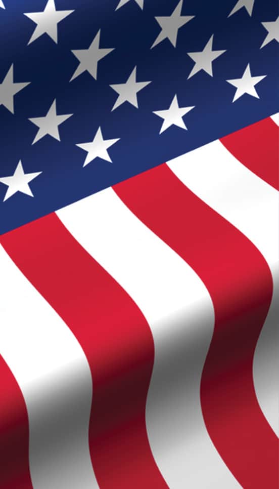 Waving Flag-Signature Sign Icon