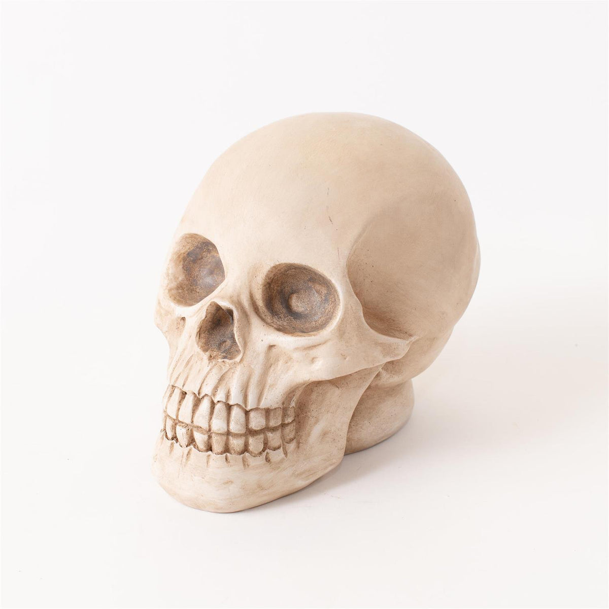 Eerie LED Glow Skull