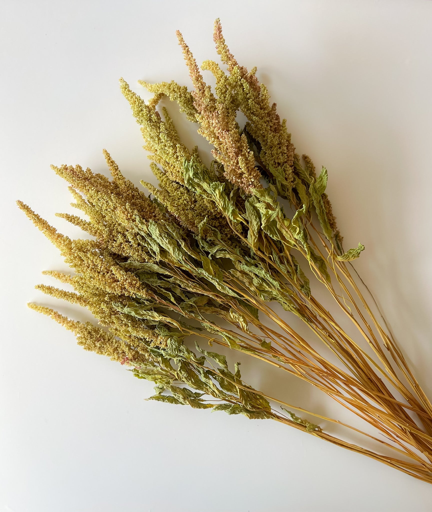 Dried Amaranth Pistachio