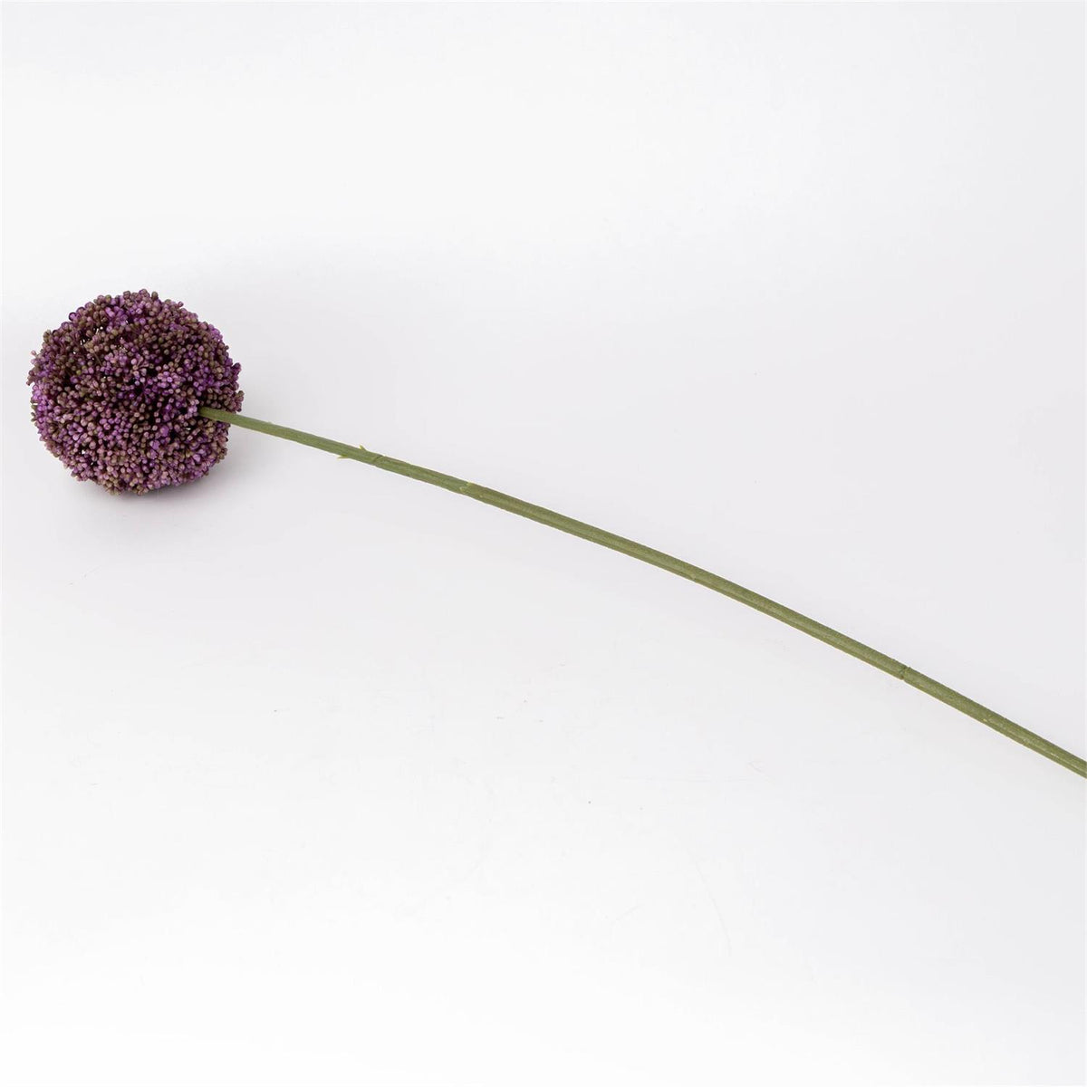 Stem - Allium Lavender