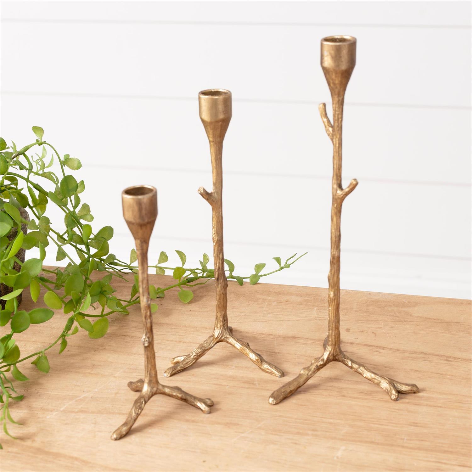 Gold Branch Taper Holder