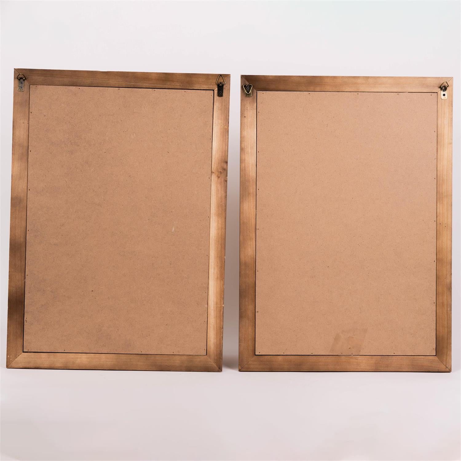 Framed Print - Butterfly Life Stages - 2 piece Set