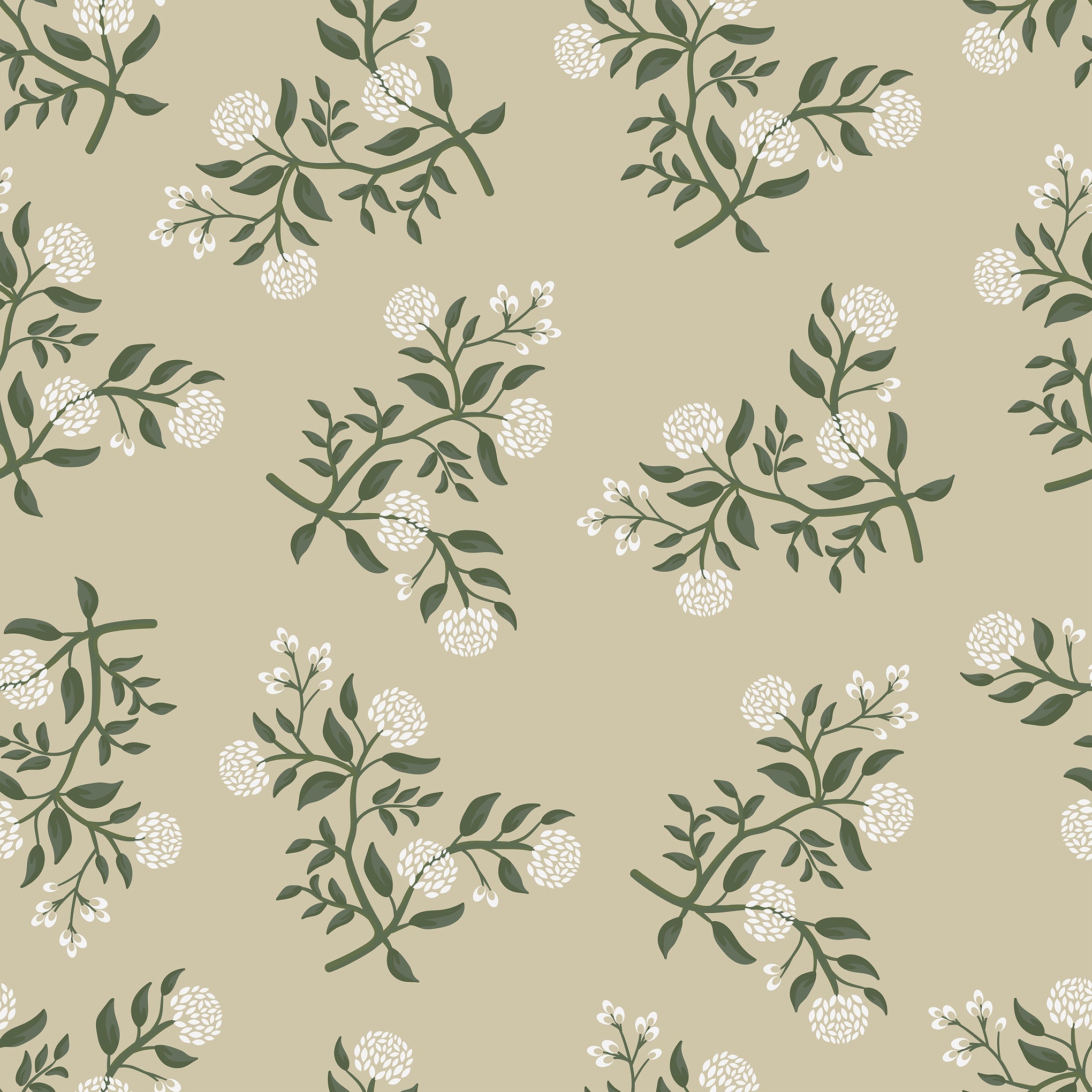 Blossoms