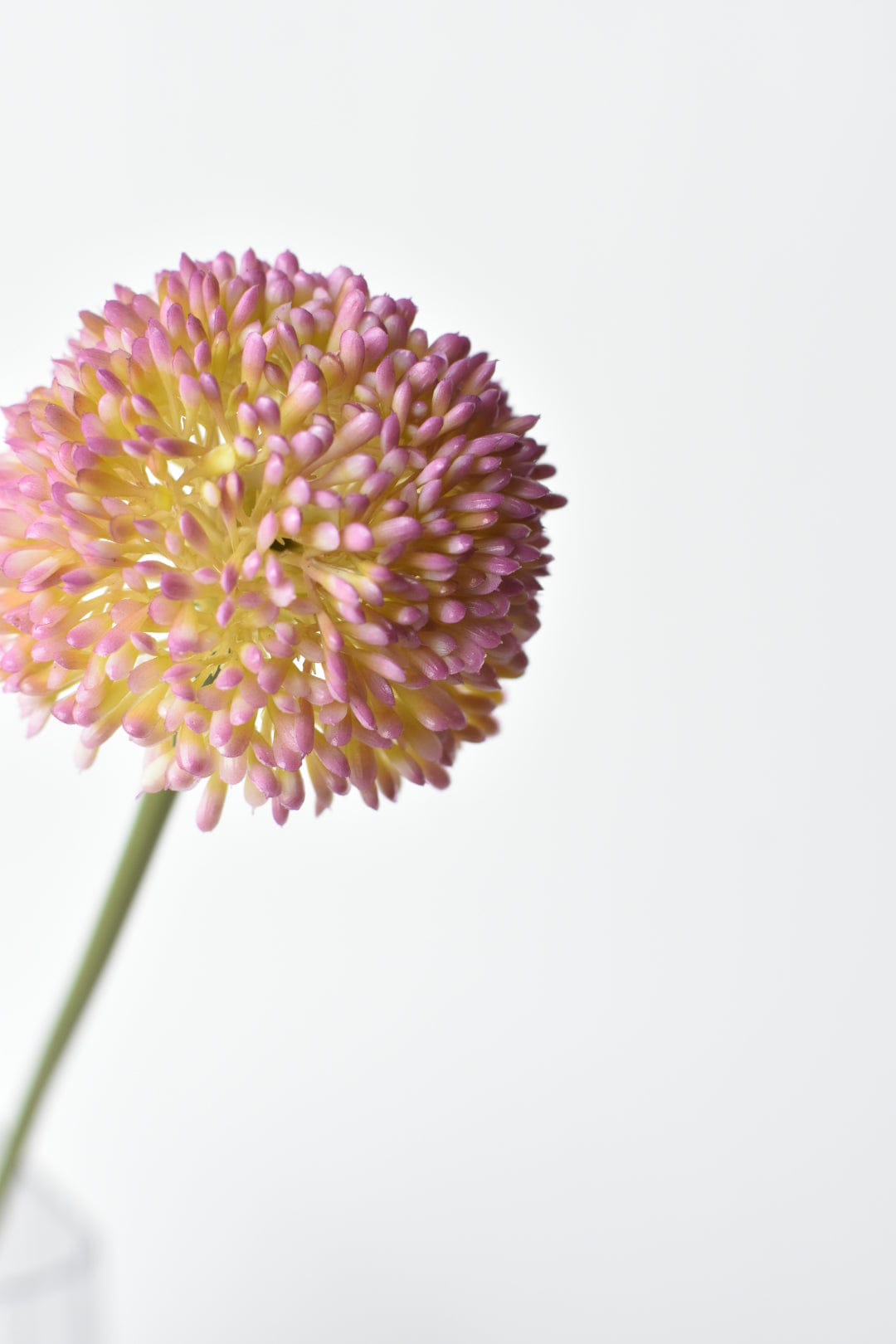 17.5" Faux Lavender Allium Stem