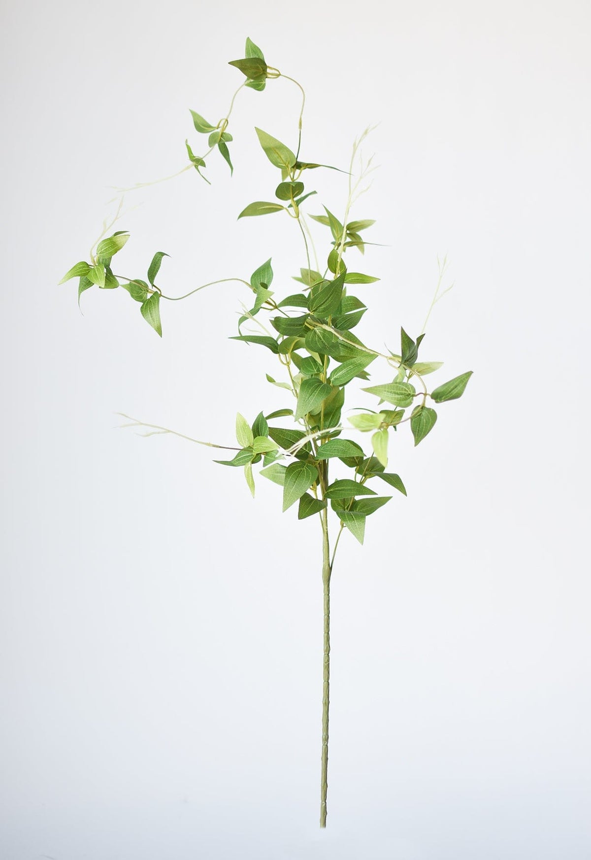 40" Faux Green Clematis Vine Stem