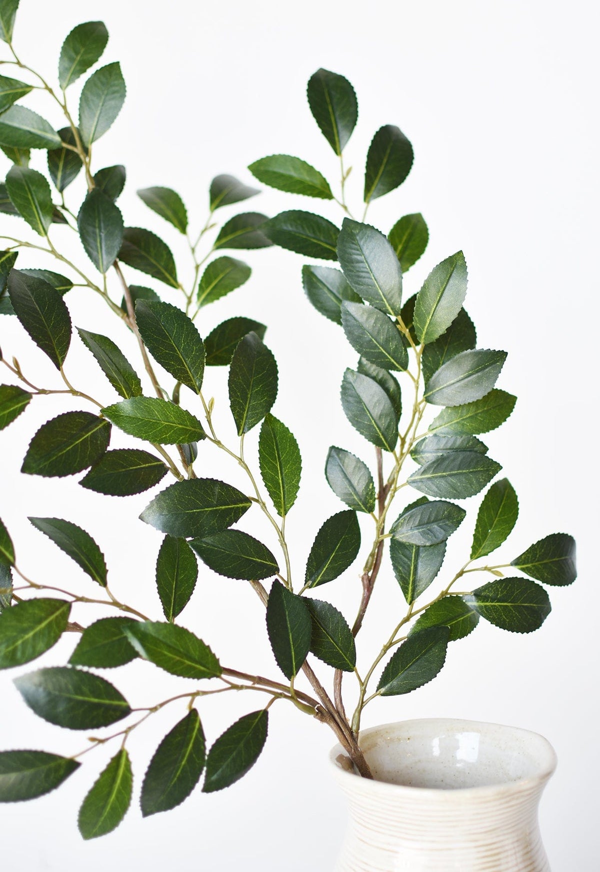 26" Faux Ruscus Leaf Stem