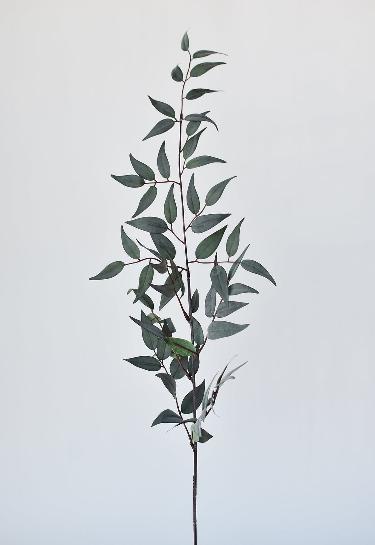 36" Faux Dark Green/Gray Ruscus Leaf Stem