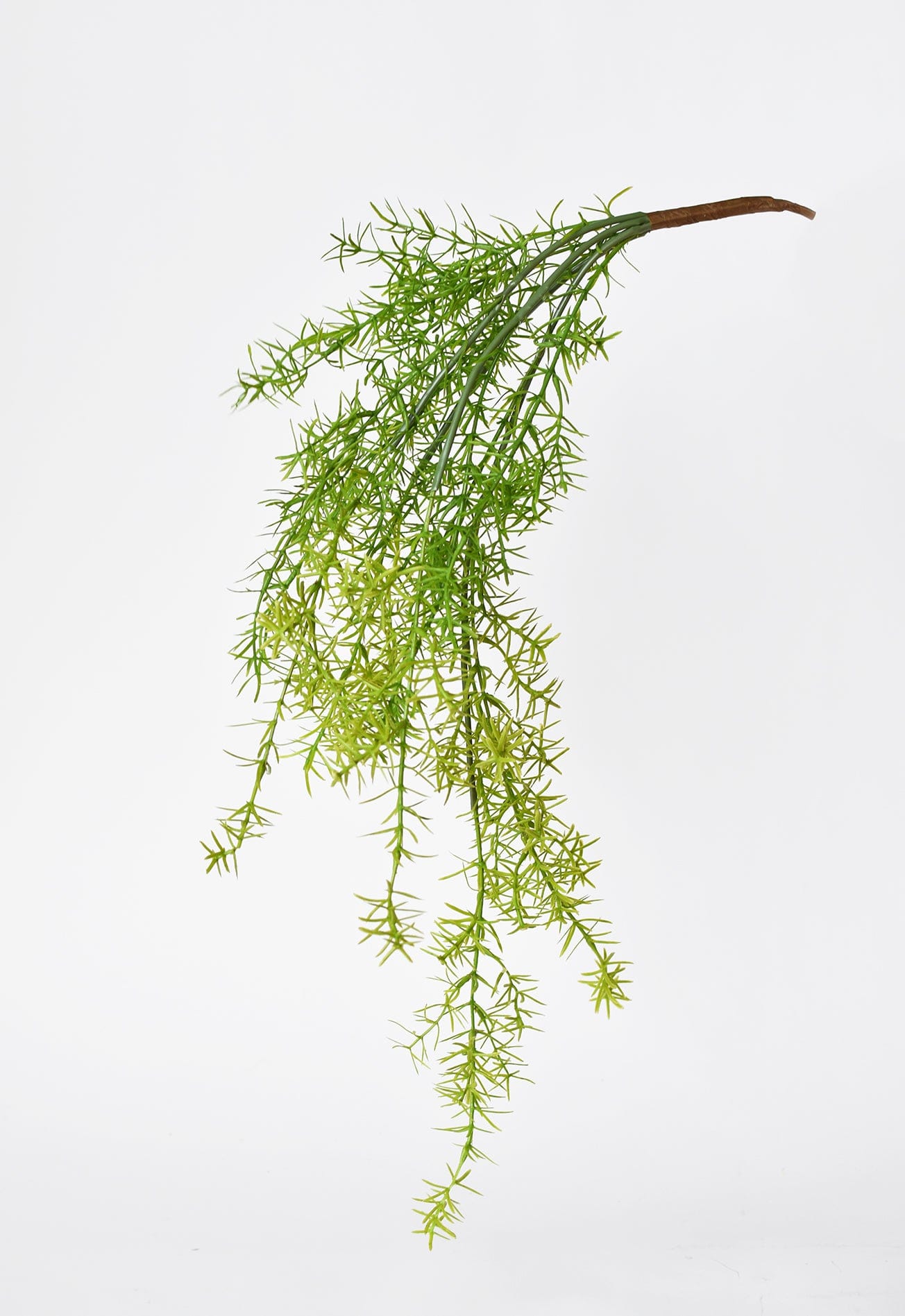26" Faux Soft Asparagus Fern Sprengeri Bush