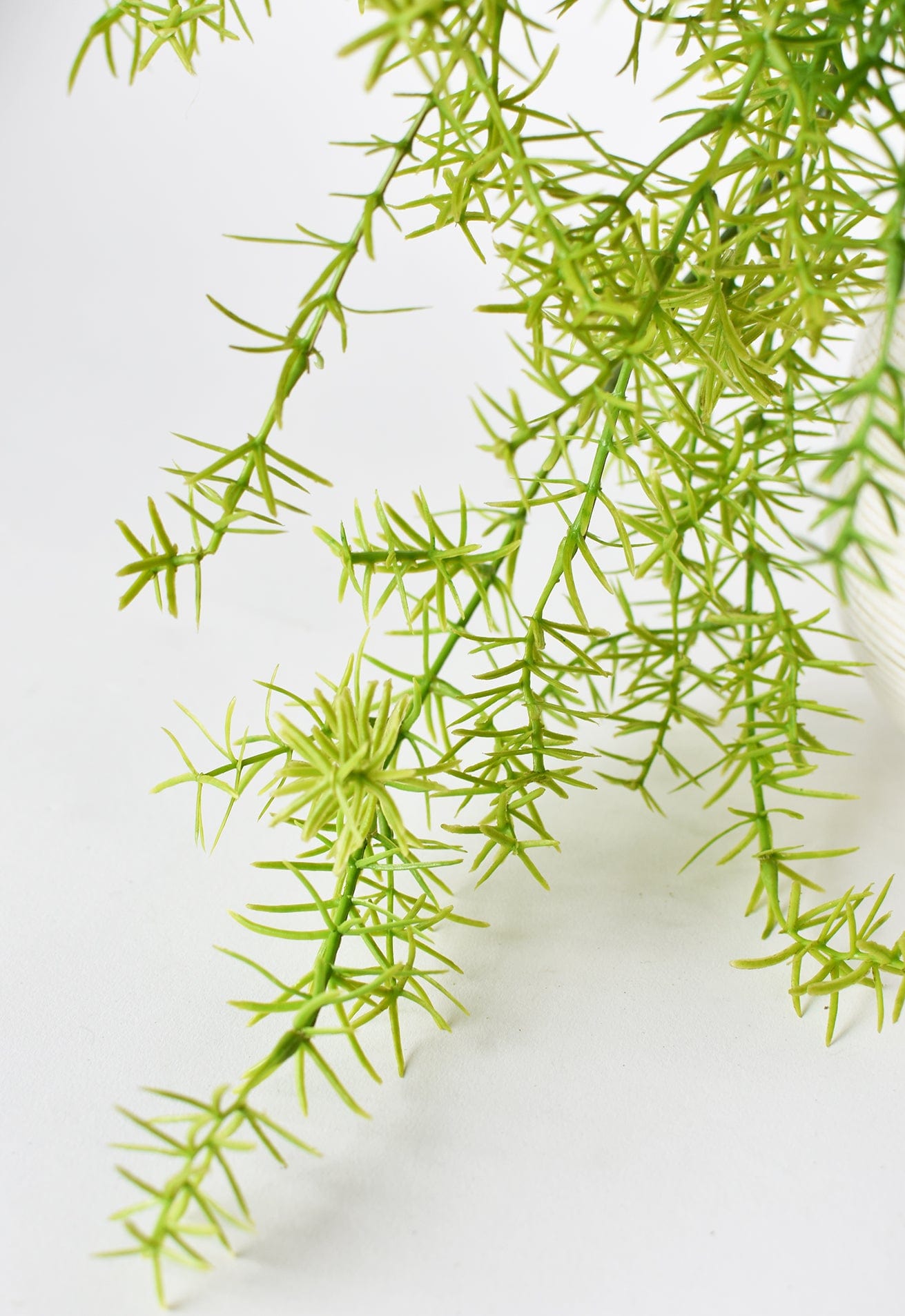 26" Faux Soft Asparagus Fern Sprengeri Bush