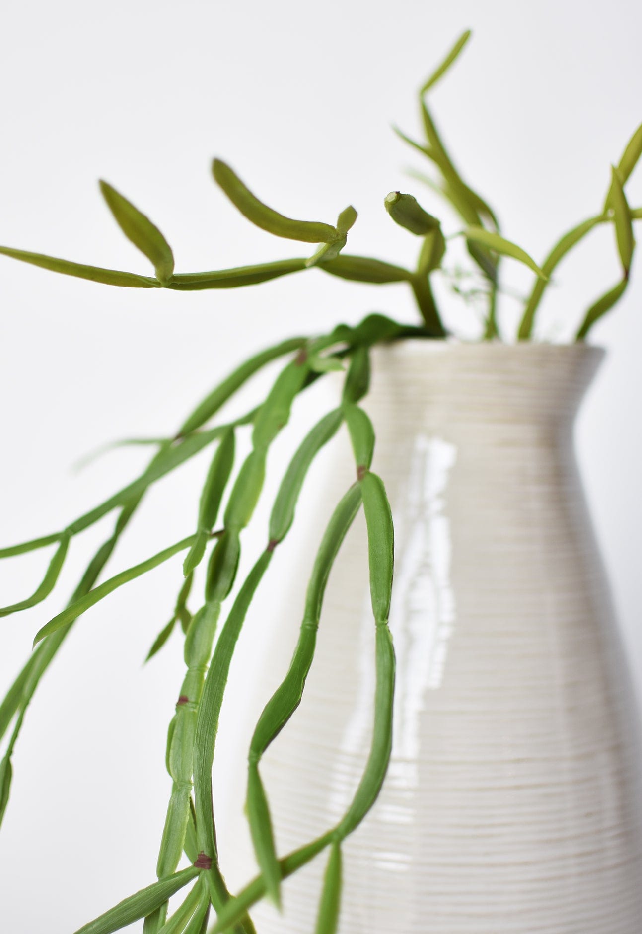 23" Faux Hanging Pencil Cactus Succulent Bush