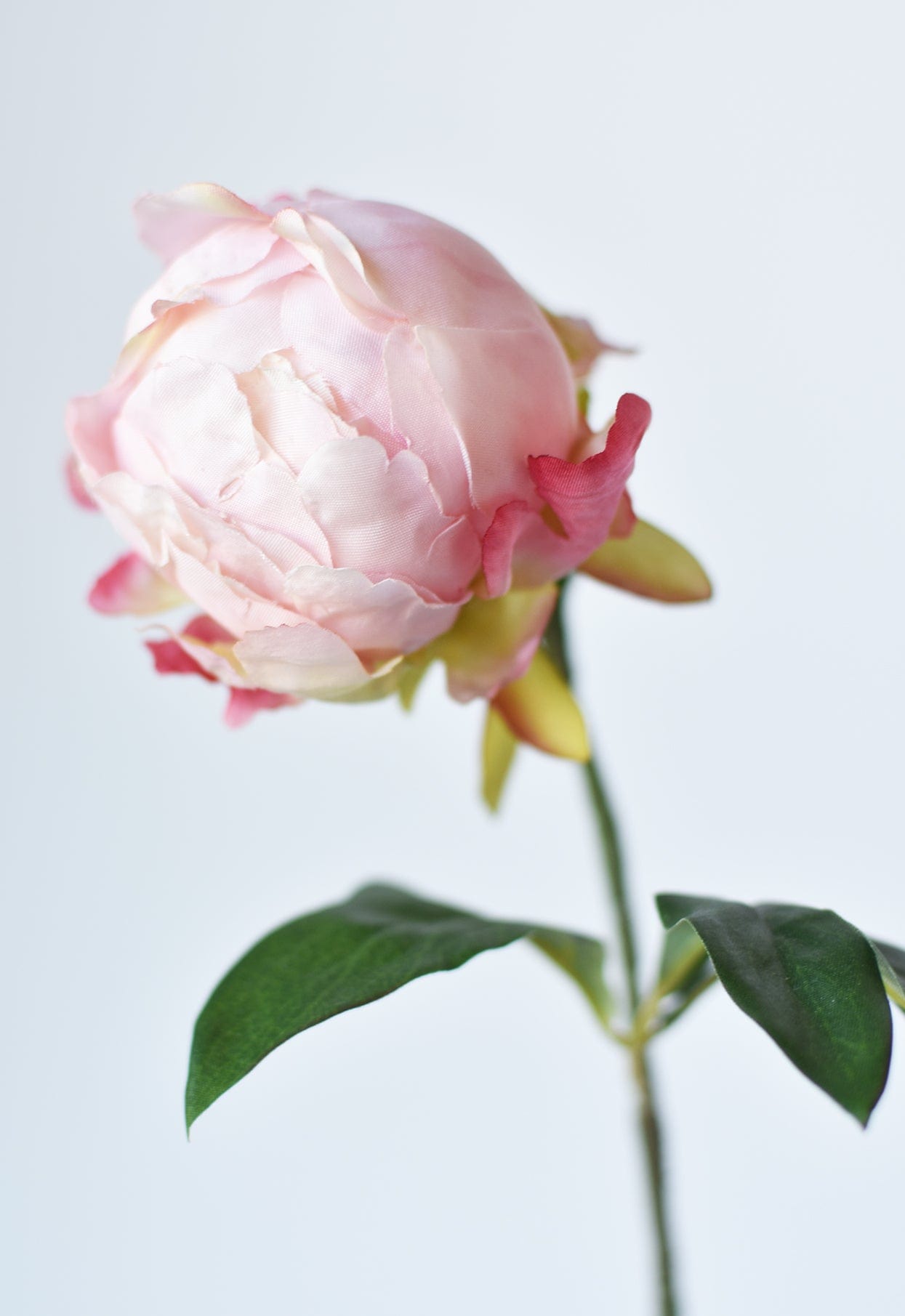 18" Faux Peony Bud Stem Light Pink