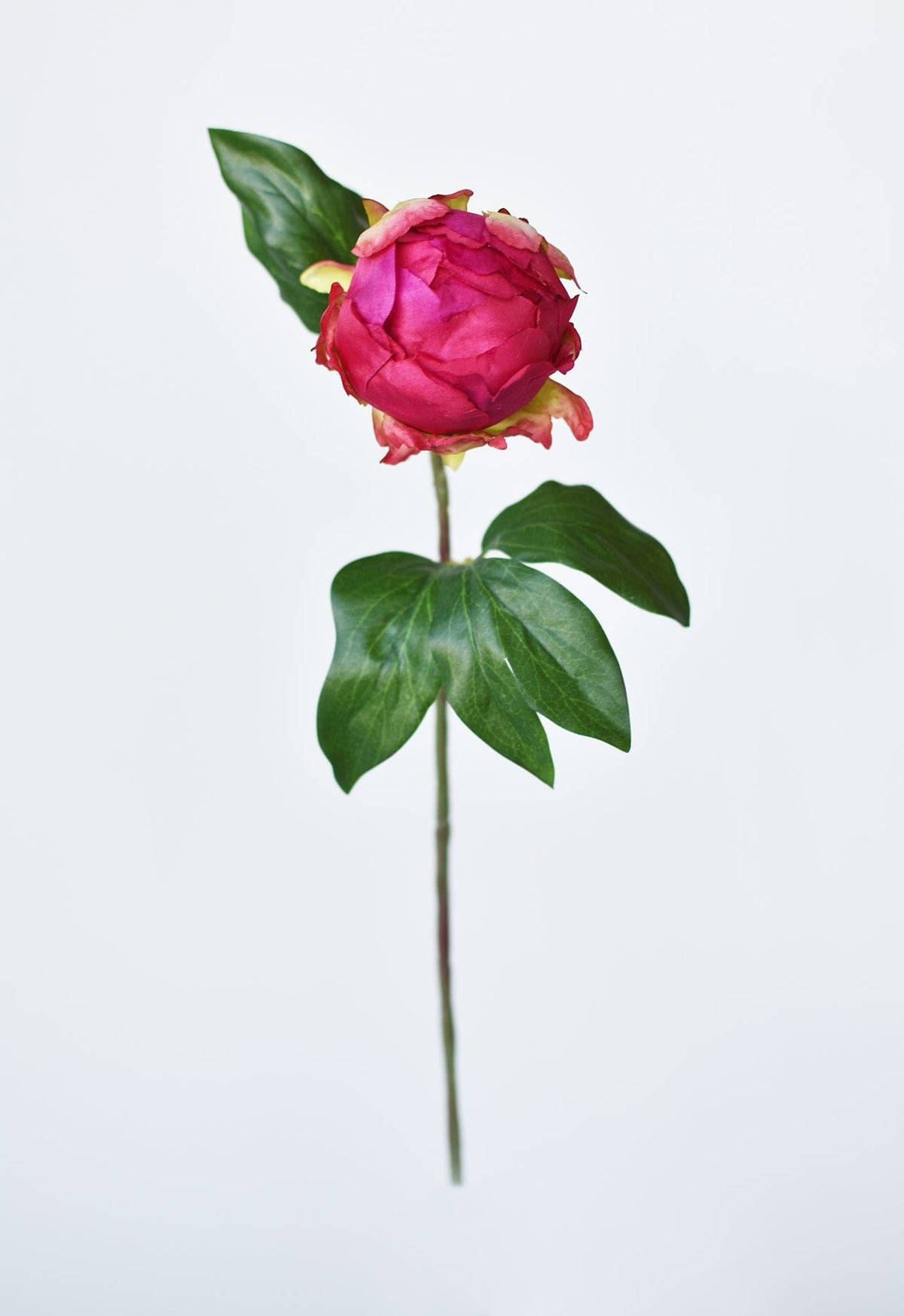 18" Faux Peony Bud Stem Fuchsia