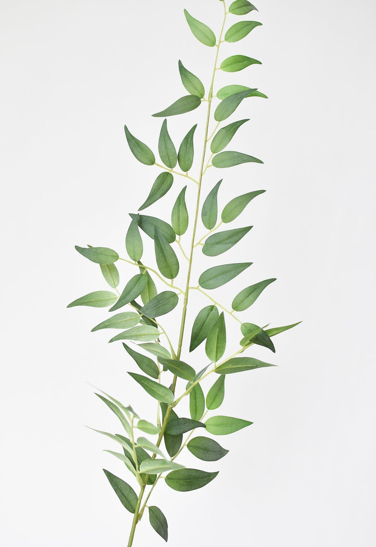 36" Faux Italian Ruscus Stem