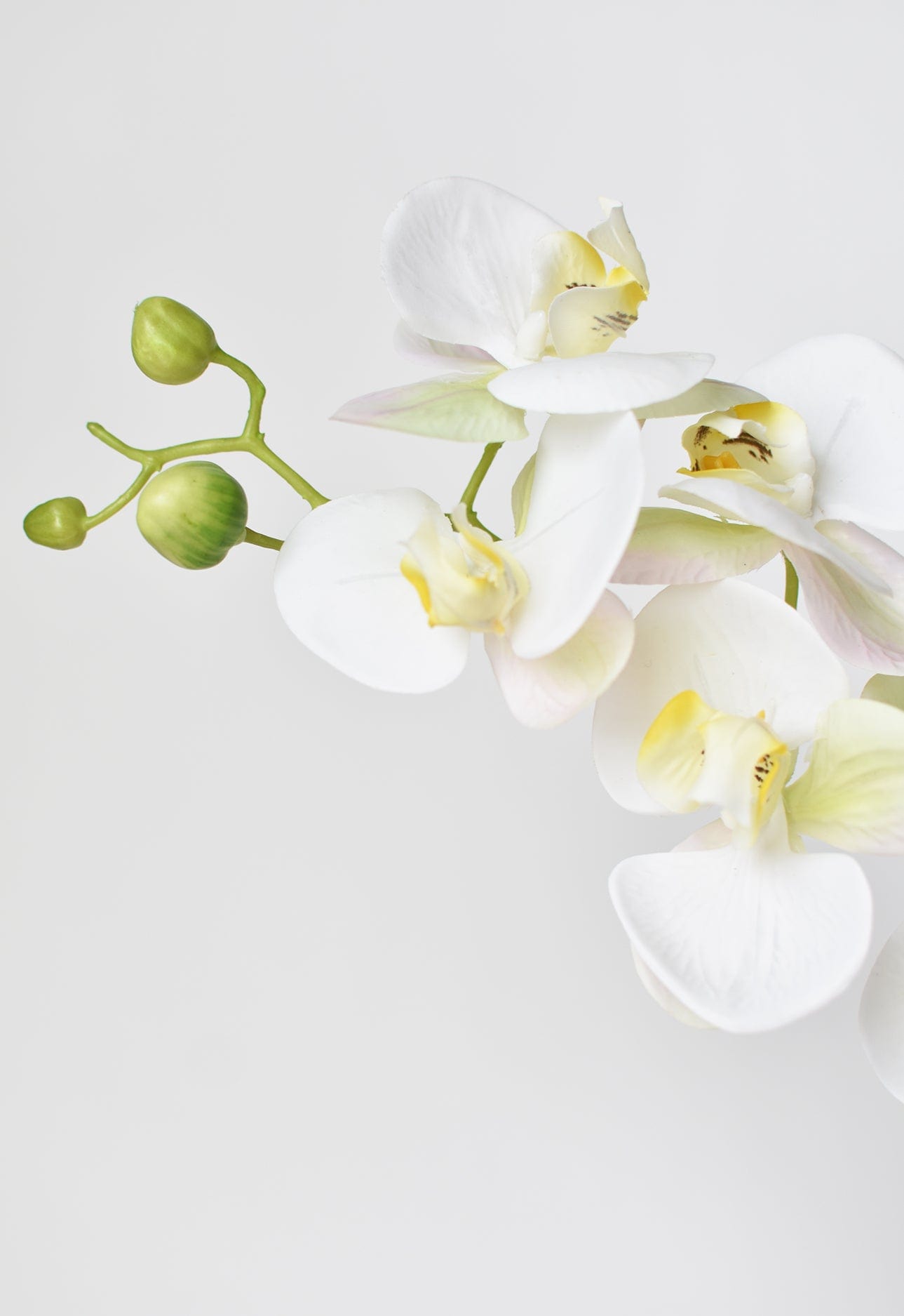 30" Faux White Orchid Stem