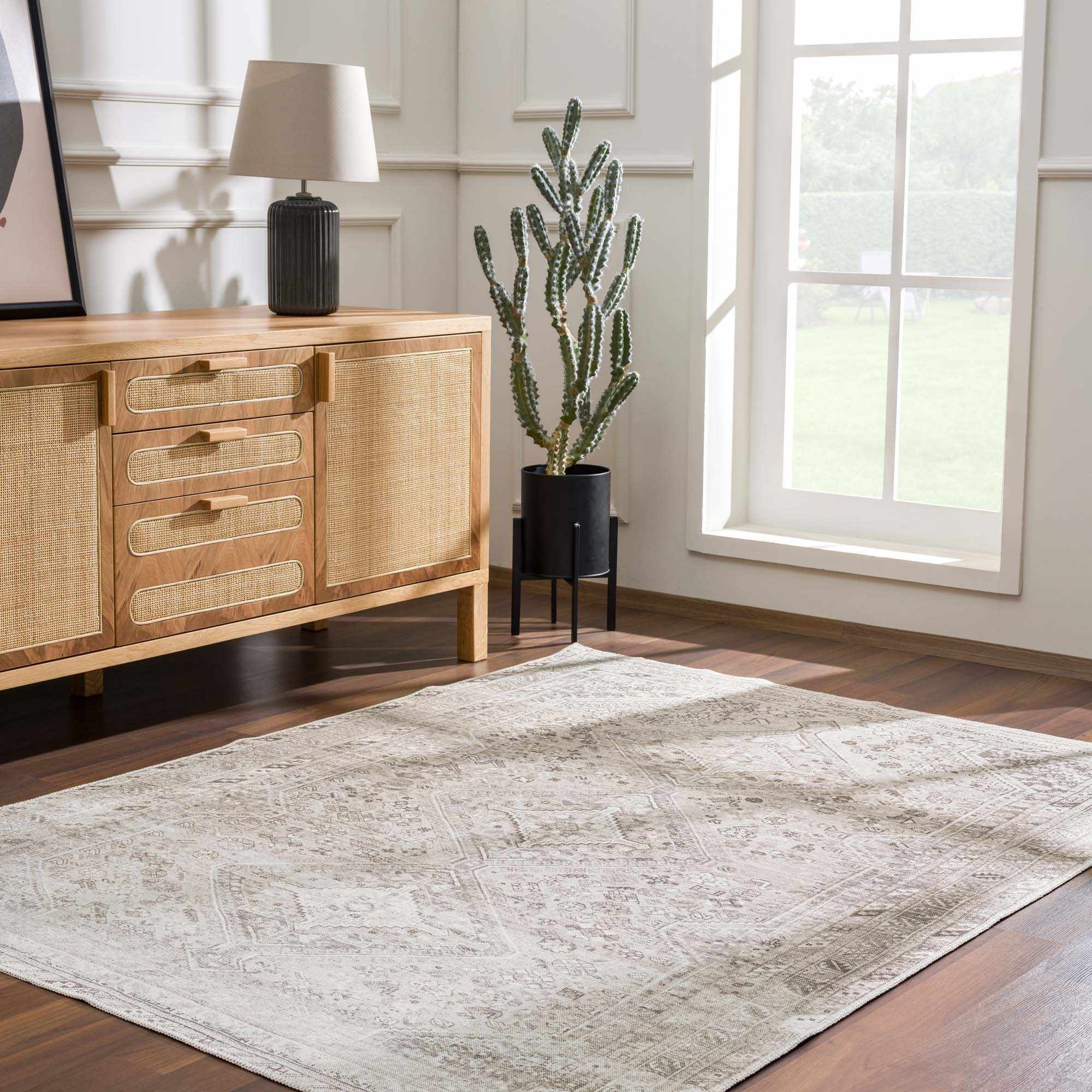 Nadie Area Rug - Clearance