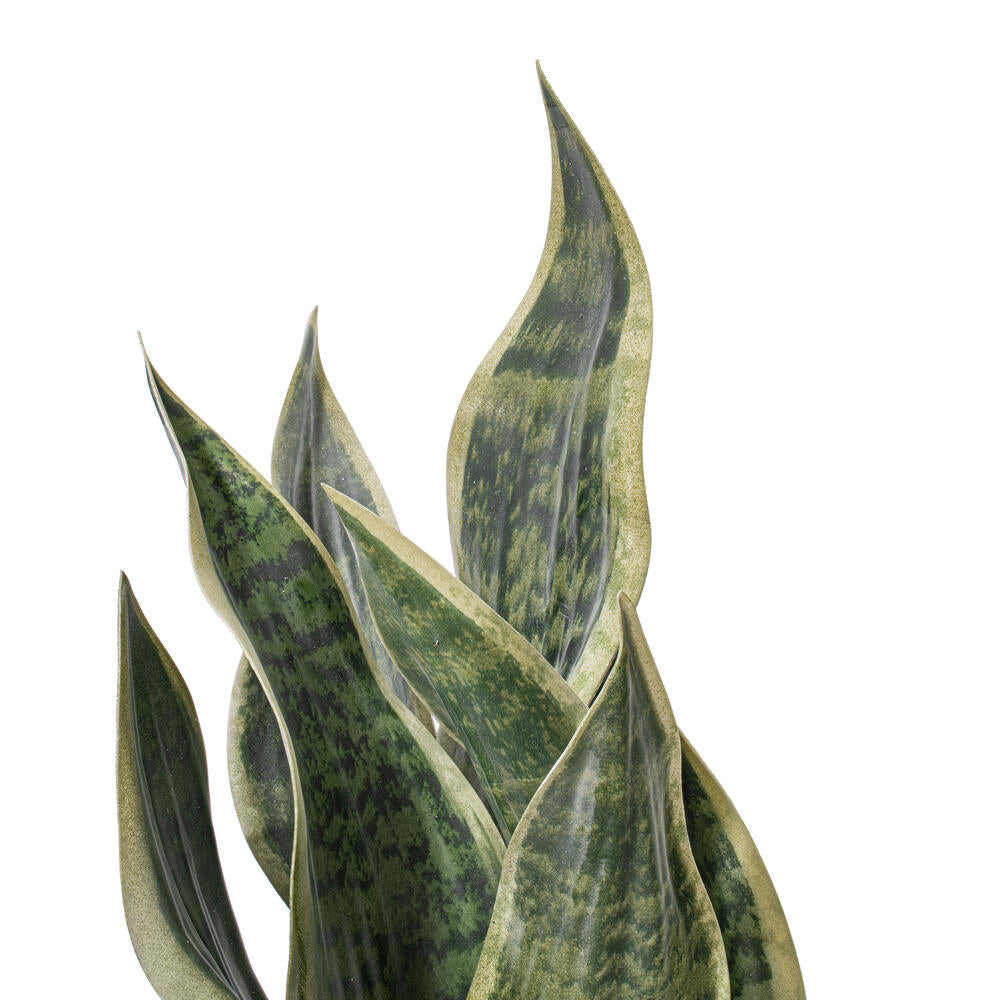 18" Artificial Light Green Snake Plant