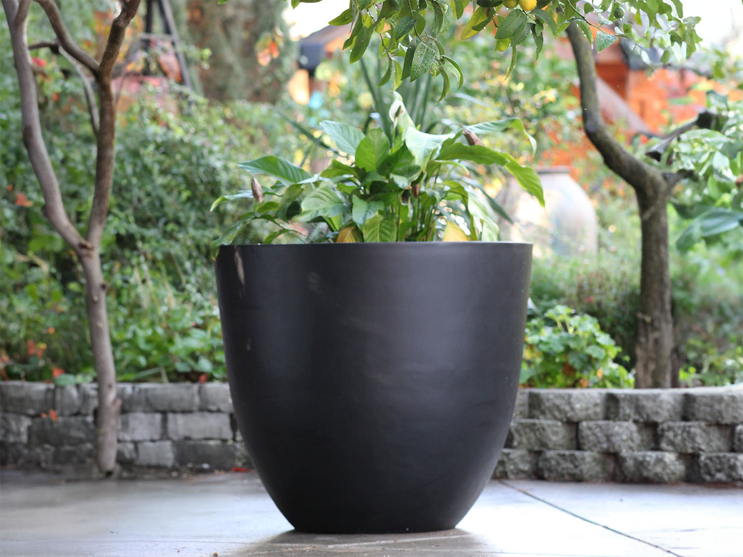Deep Bowl Planter By Plantatorem
