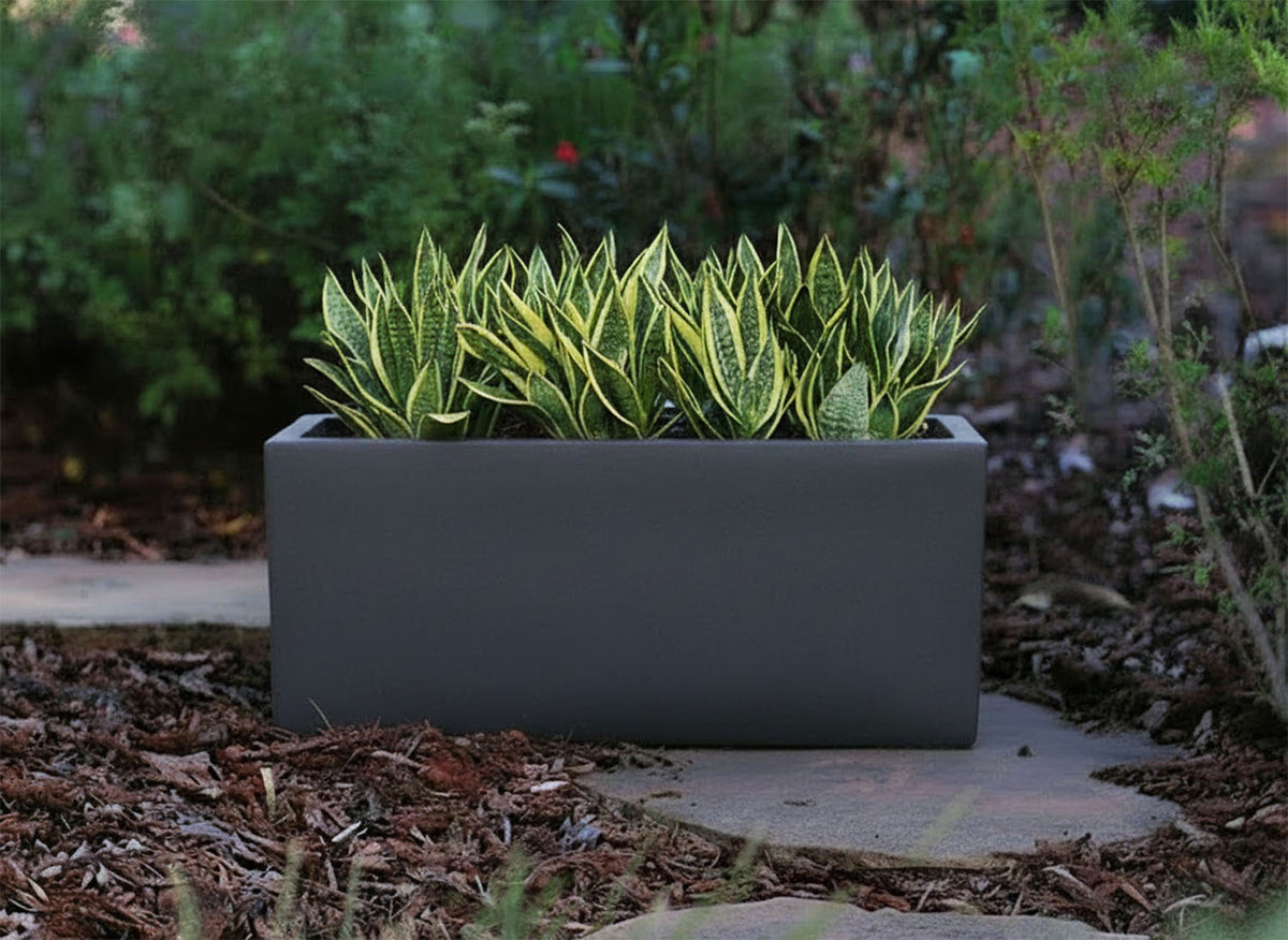 Rectangular Box Planter 59" By Plantatorem
