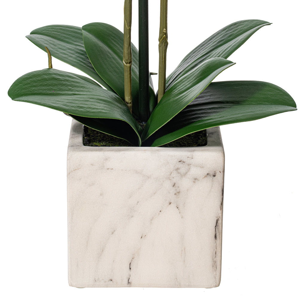 22" Artificial Potted Real Touch Dark Purple Phalaenopsis Spray