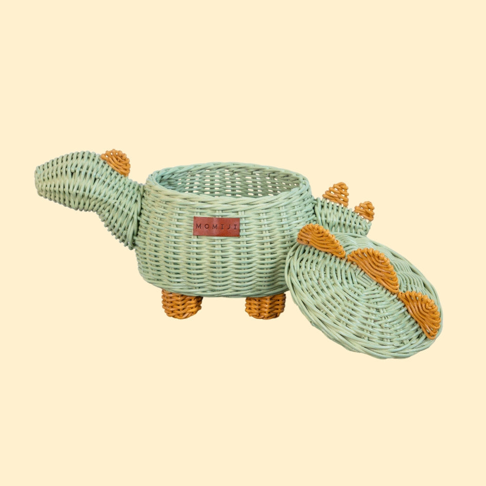 Dinosaur Basket Small - Mint Green