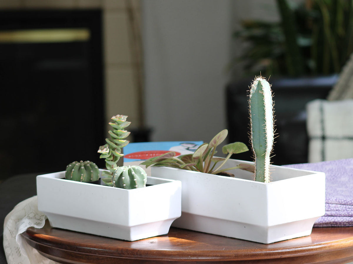 Art Decor Rectangular Planter By Plantatorem