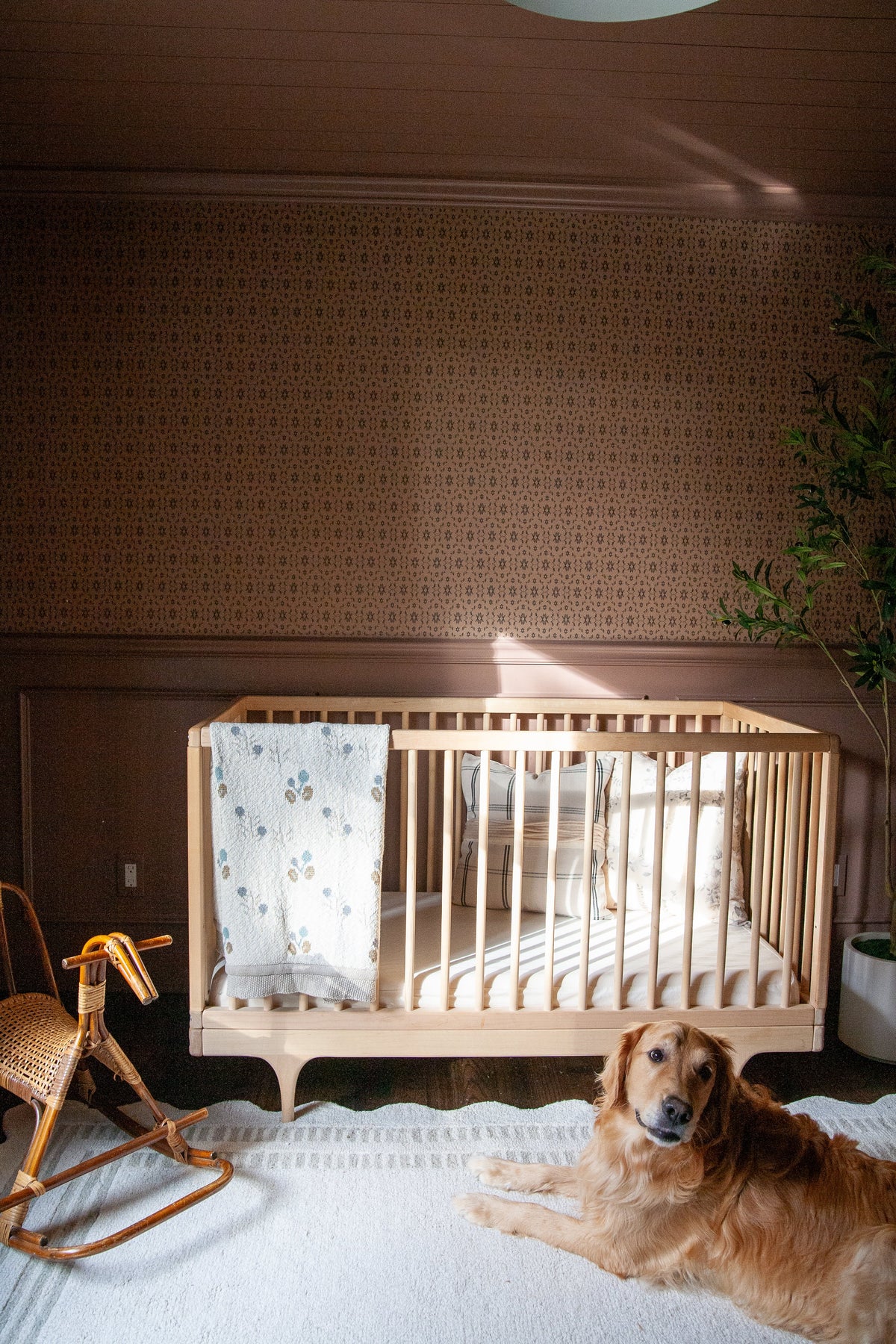 Zara Wallpaper by Thoroughfare Design