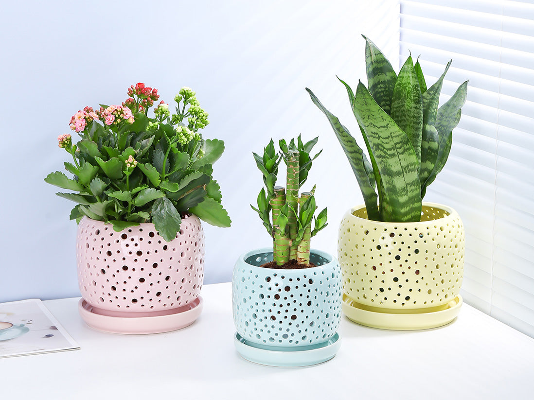 Rain Drop Orchid Planter-Pastel By Plantatorem