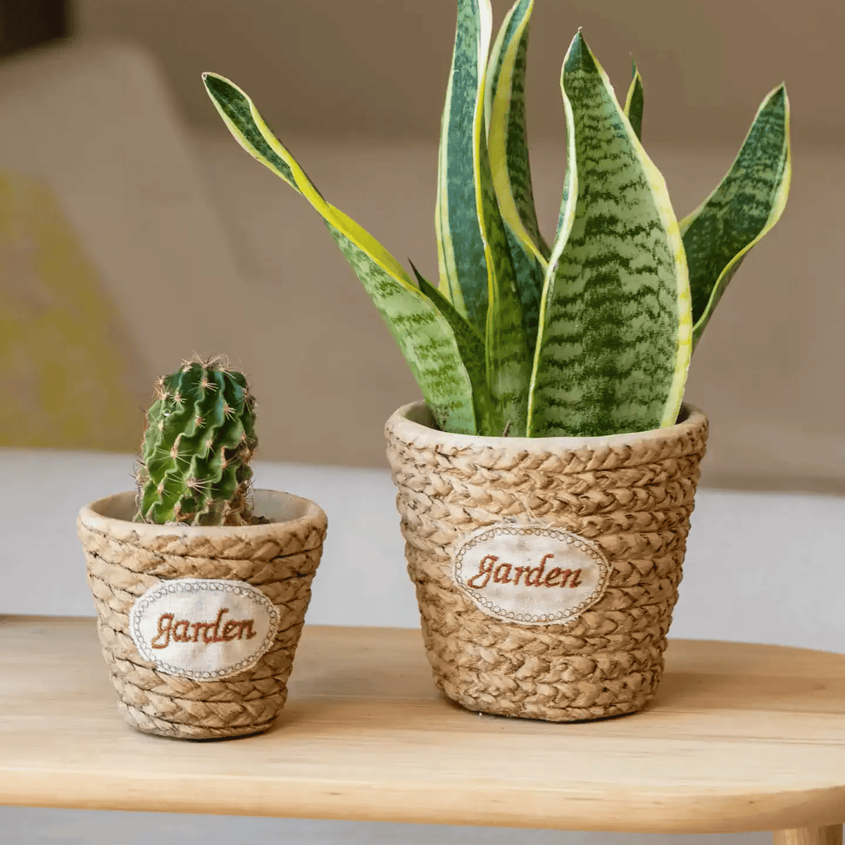 Garden Basket Cement Planter