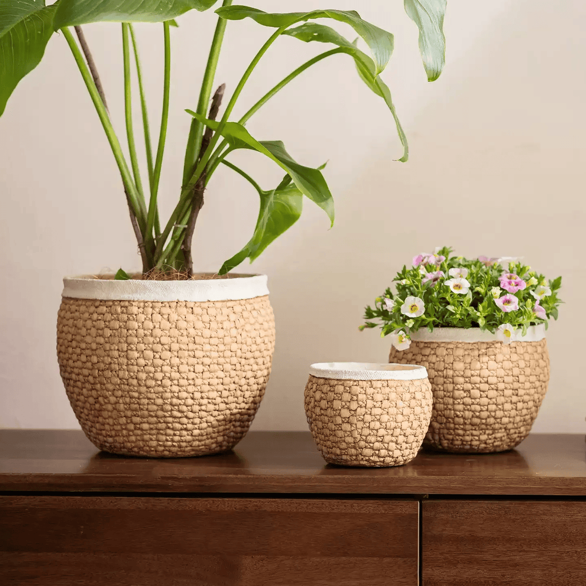Woven Rattan Cement Planter