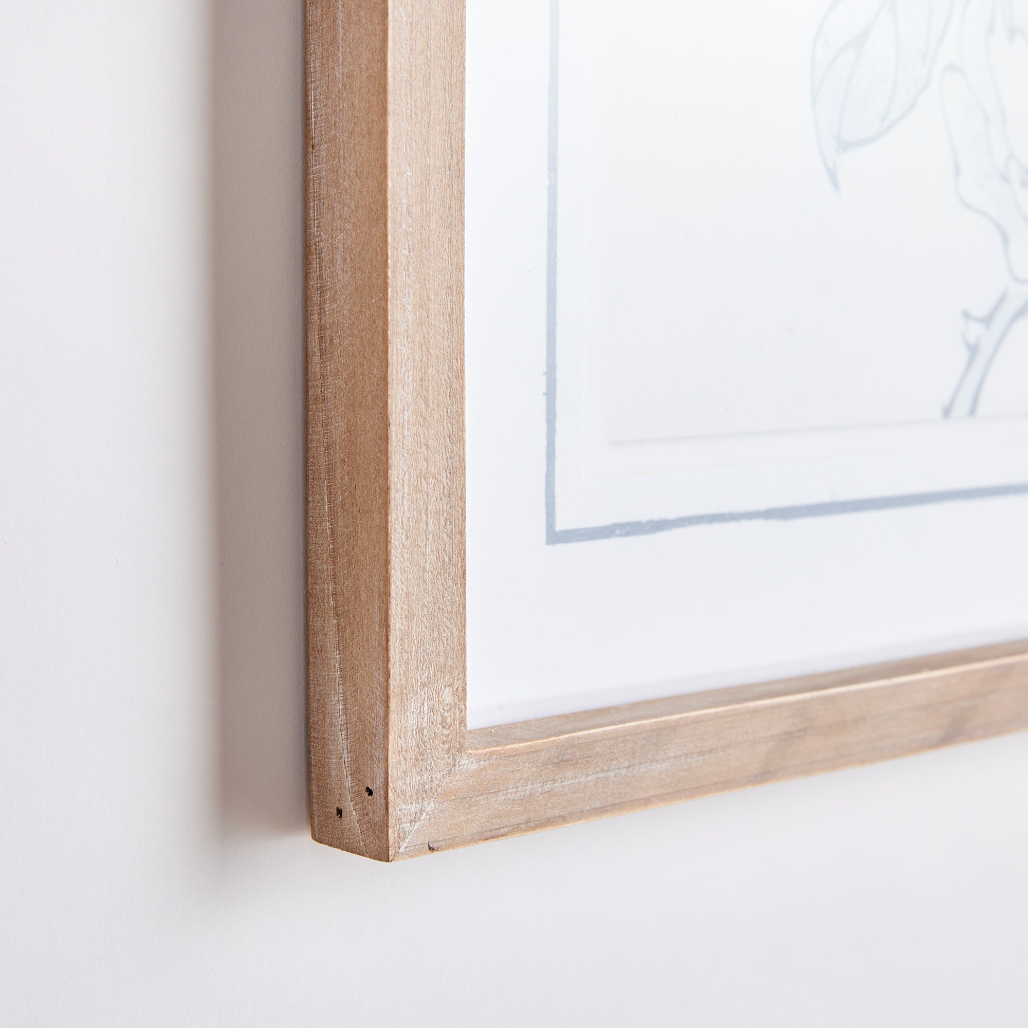 Monochromatic Bird Study, Set of 4