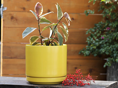 Mid Modern Planter With Detached Saucer "10.0" D x 9.0" H" By Plantatorem