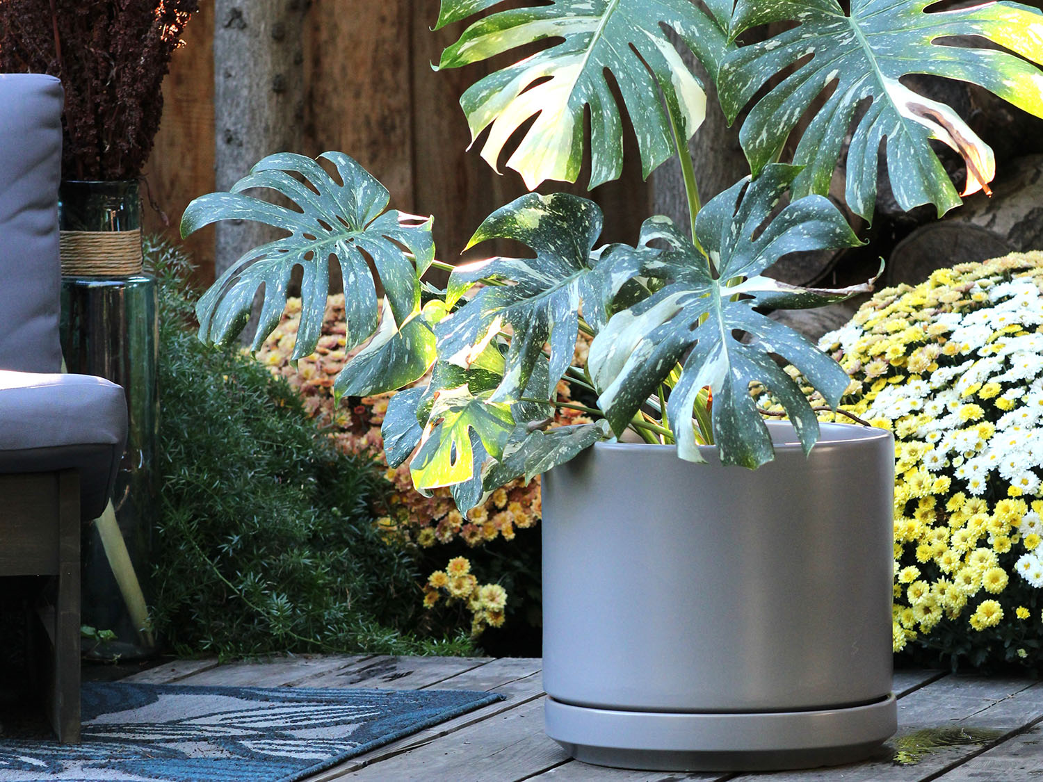Mid Modern Planter With Detached Saucer "10.0" D x 9.0" H" By Plantatorem