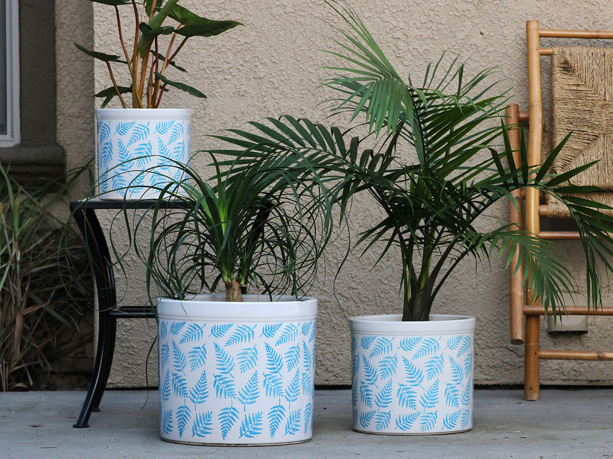 Fern Planters By Plantatorem