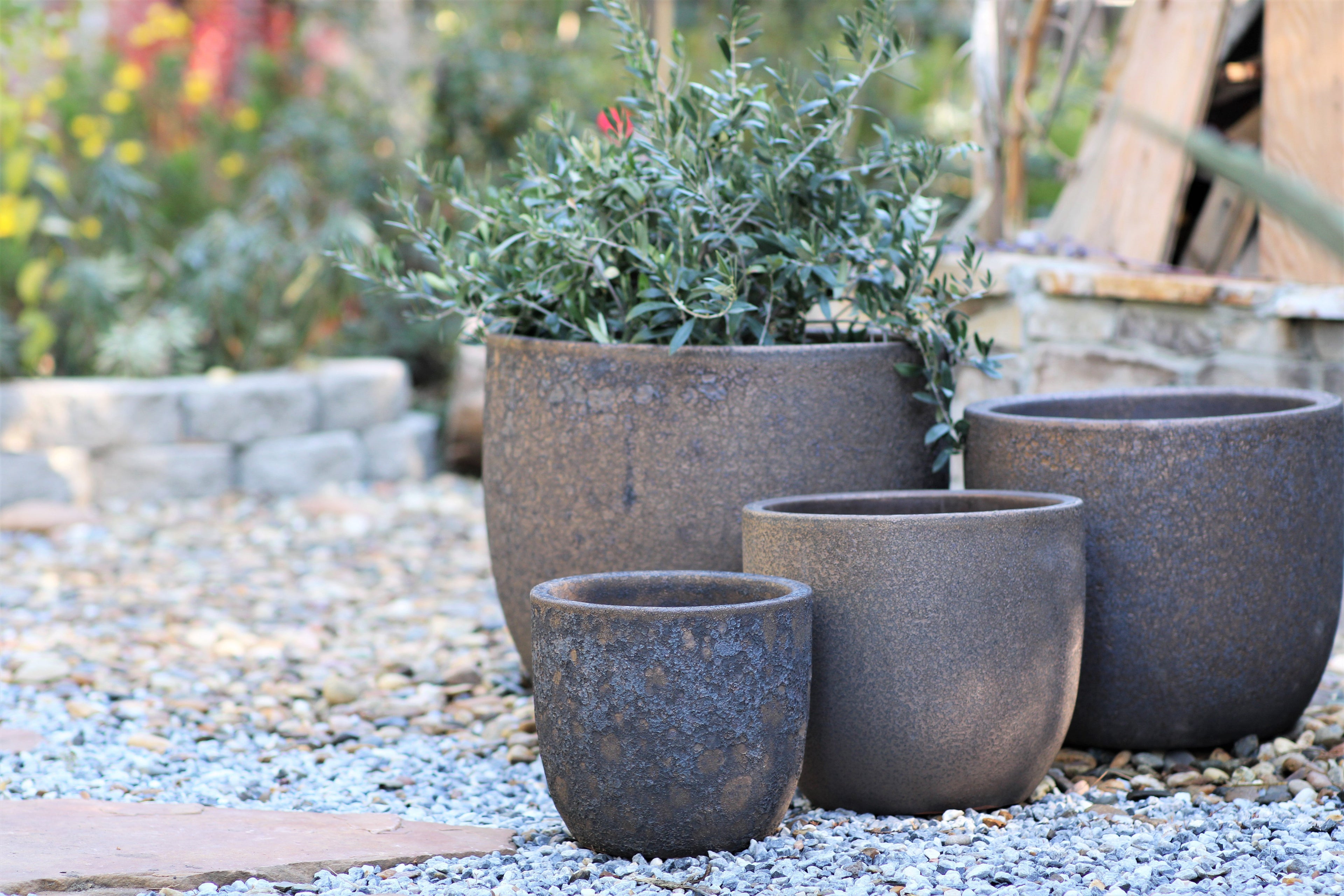 Egg Shell Pots - Set of 4 (Silver Rock) By Plantatorem