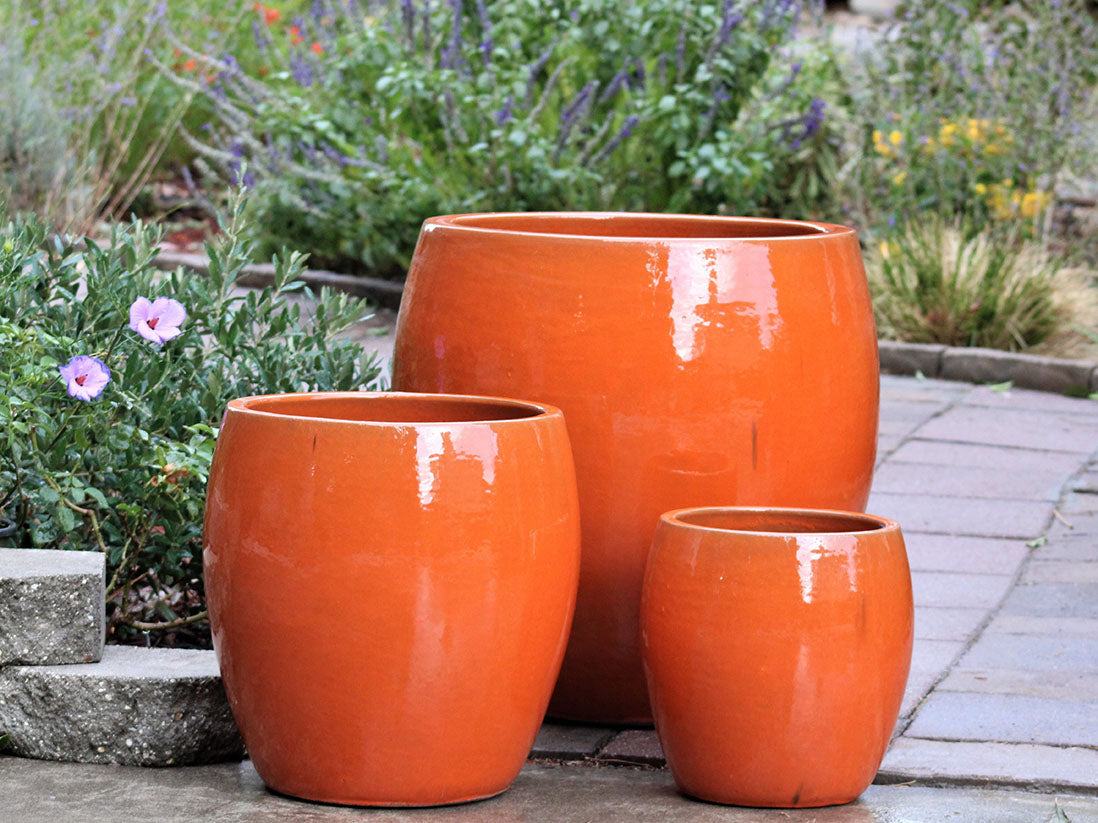 Jams Planter - Set of 3 By Plantatorem