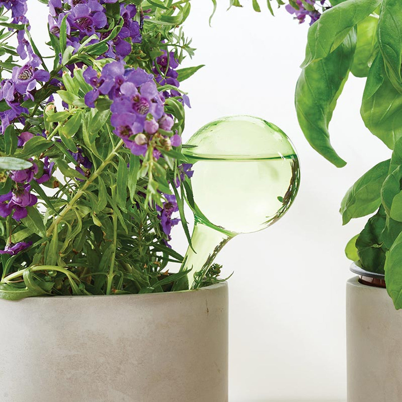 Garden Watering Globe