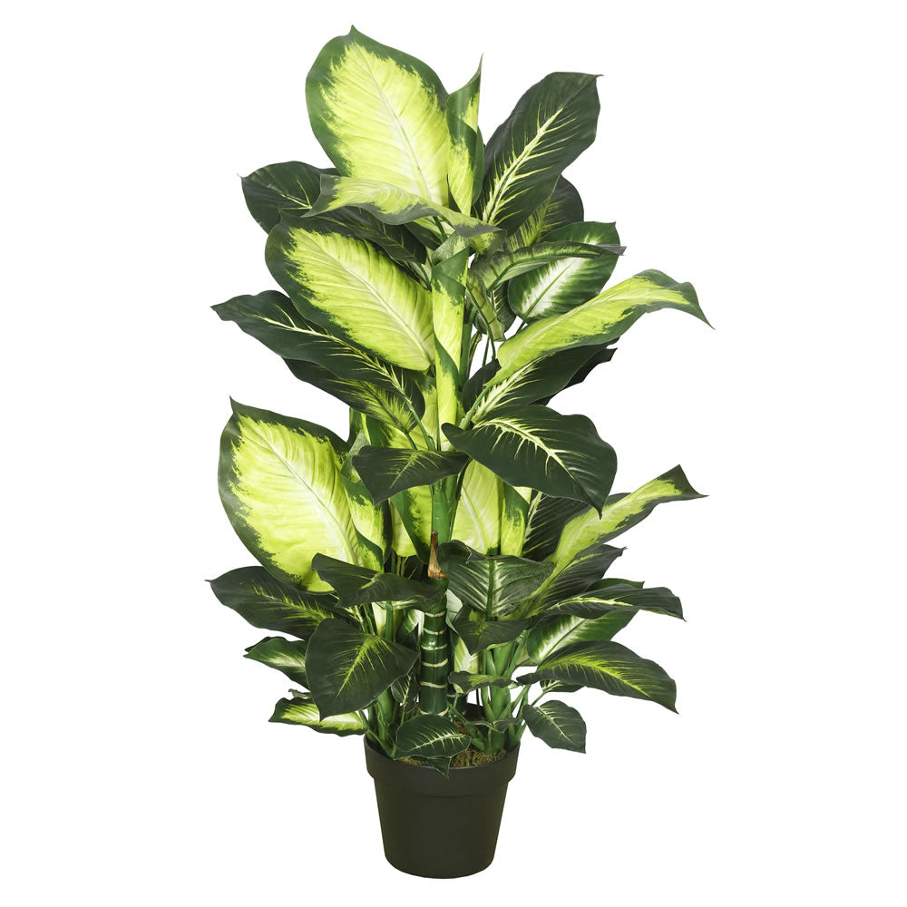 40" Artificial Green and White Dieffenbachia