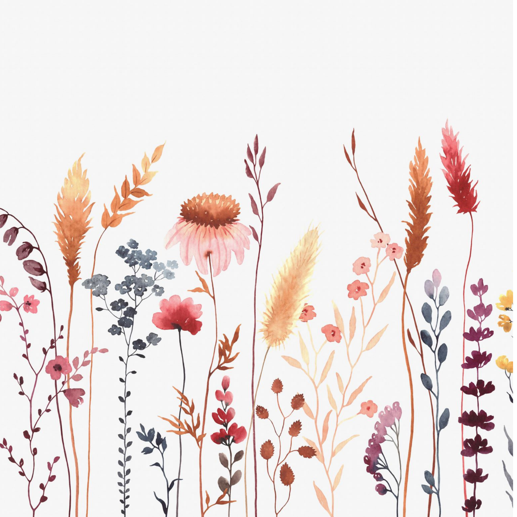 Untamed Wallpaper