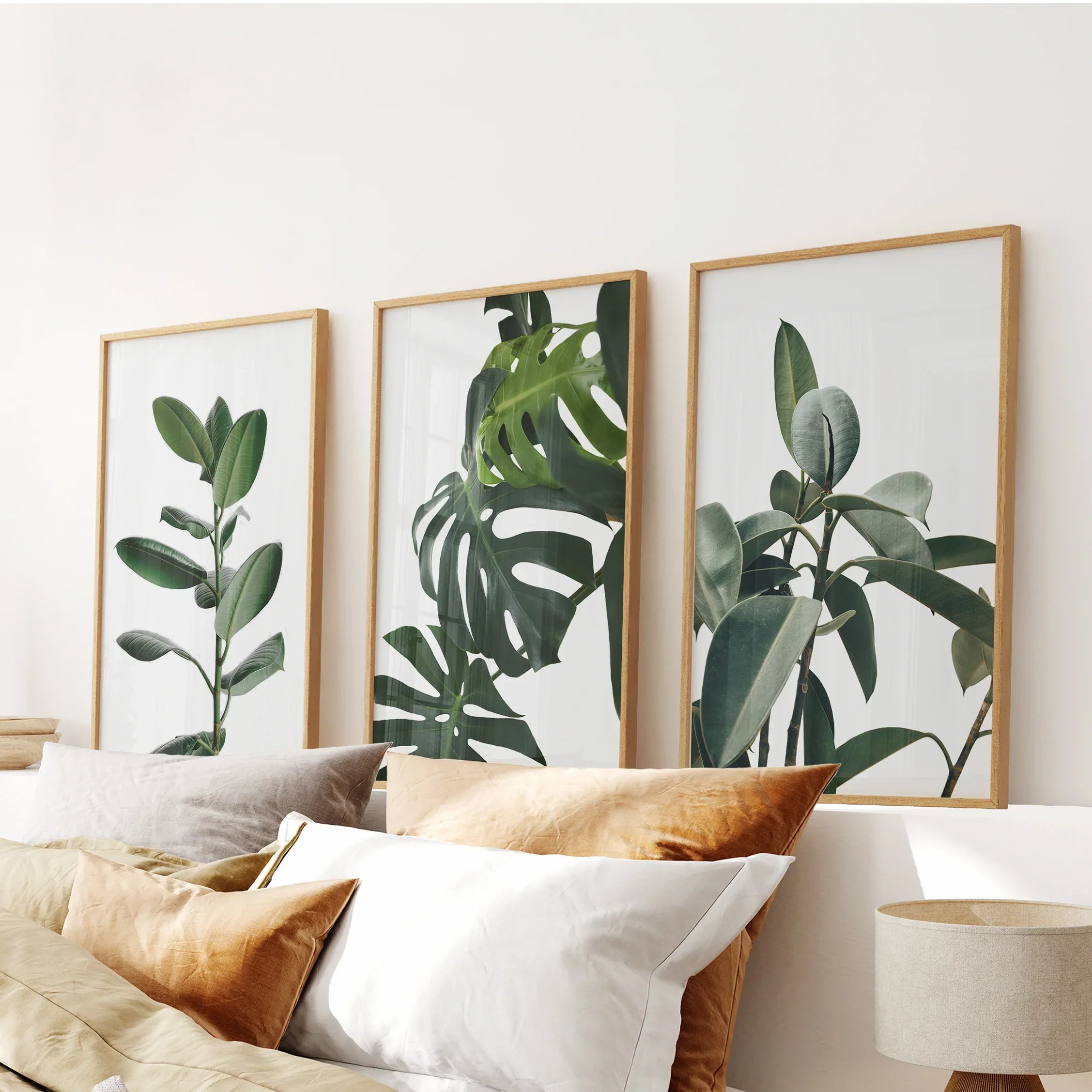 Botanical Set of 3 Prints. Tropical Monstera, Rubber Plant