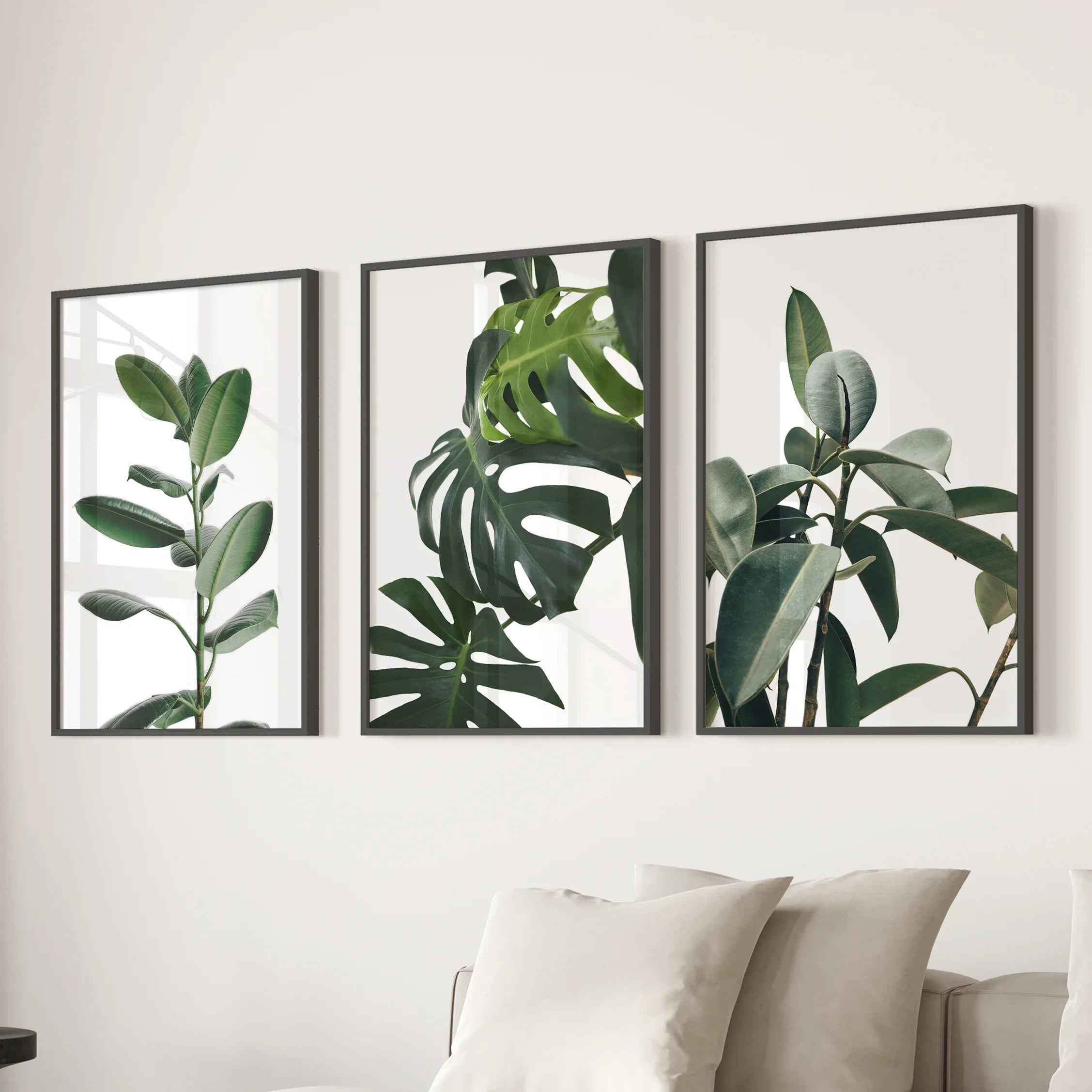 Botanical Set of 3 Prints. Tropical Monstera, Rubber Plant