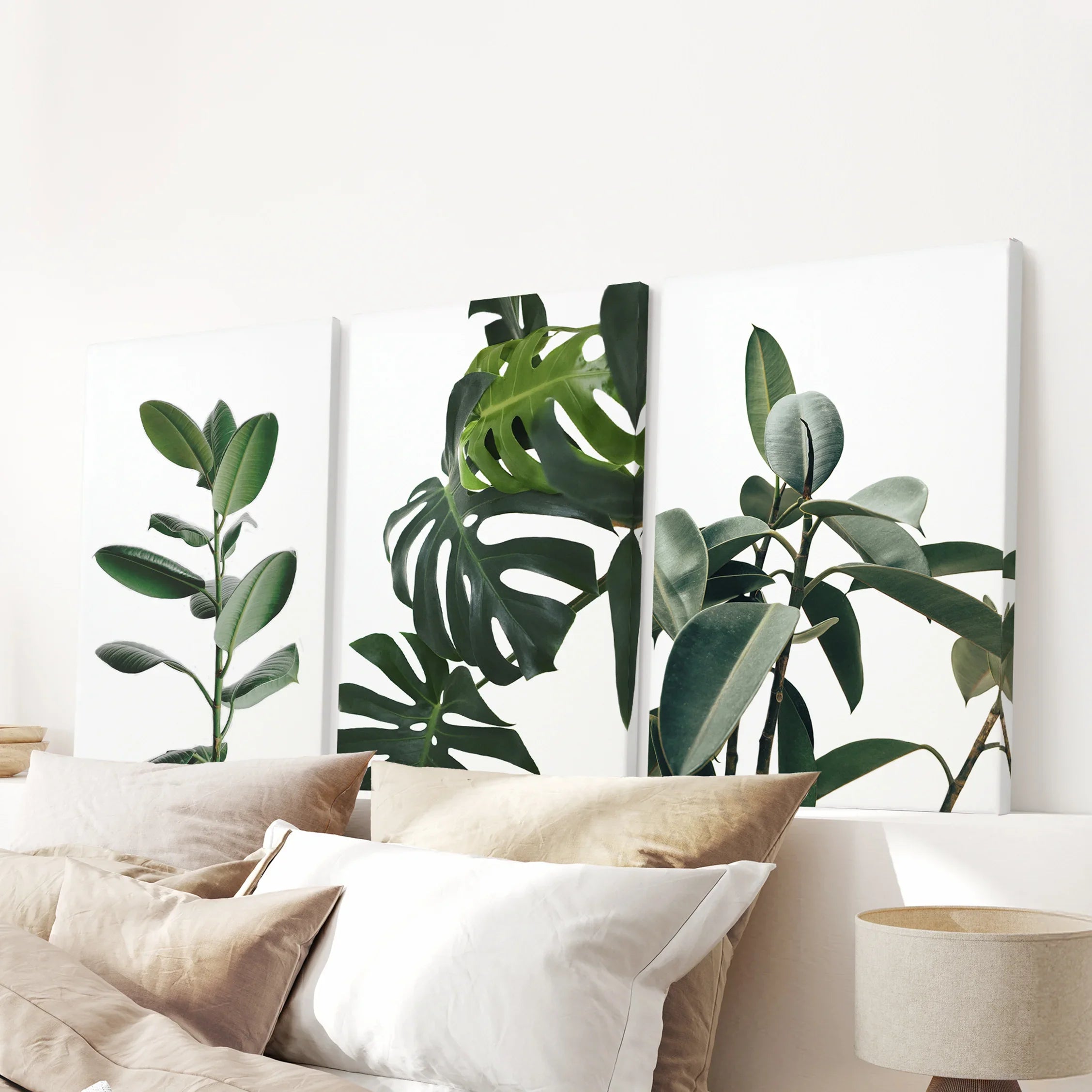 Botanical Set of 3 Prints. Tropical Monstera, Rubber Plant