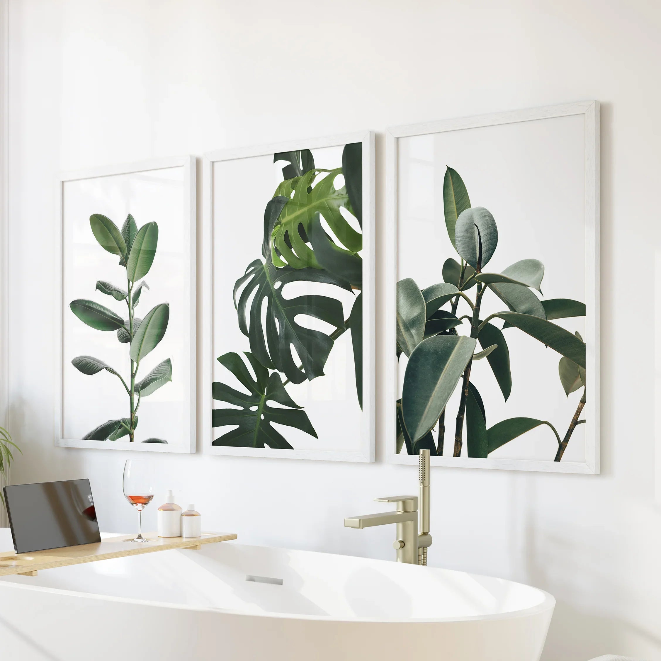 Botanical Set of 3 Prints. Tropical Monstera, Rubber Plant