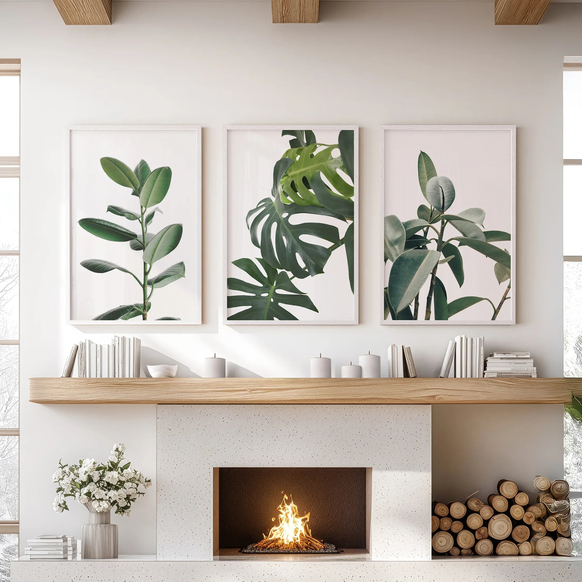 Botanical Set of 3 Prints. Tropical Monstera, Rubber Plant