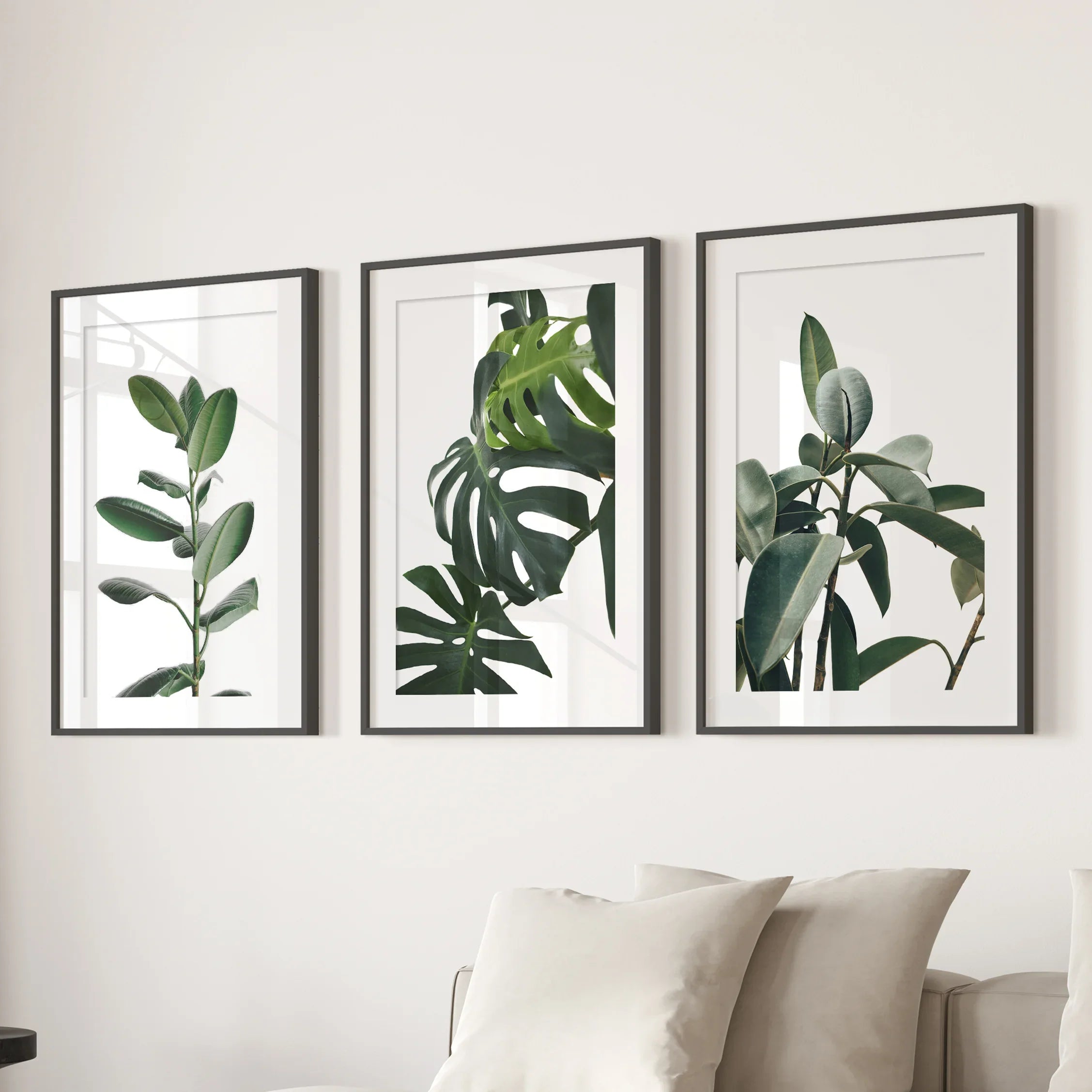 Botanical Set of 3 Prints. Tropical Monstera, Rubber Plant
