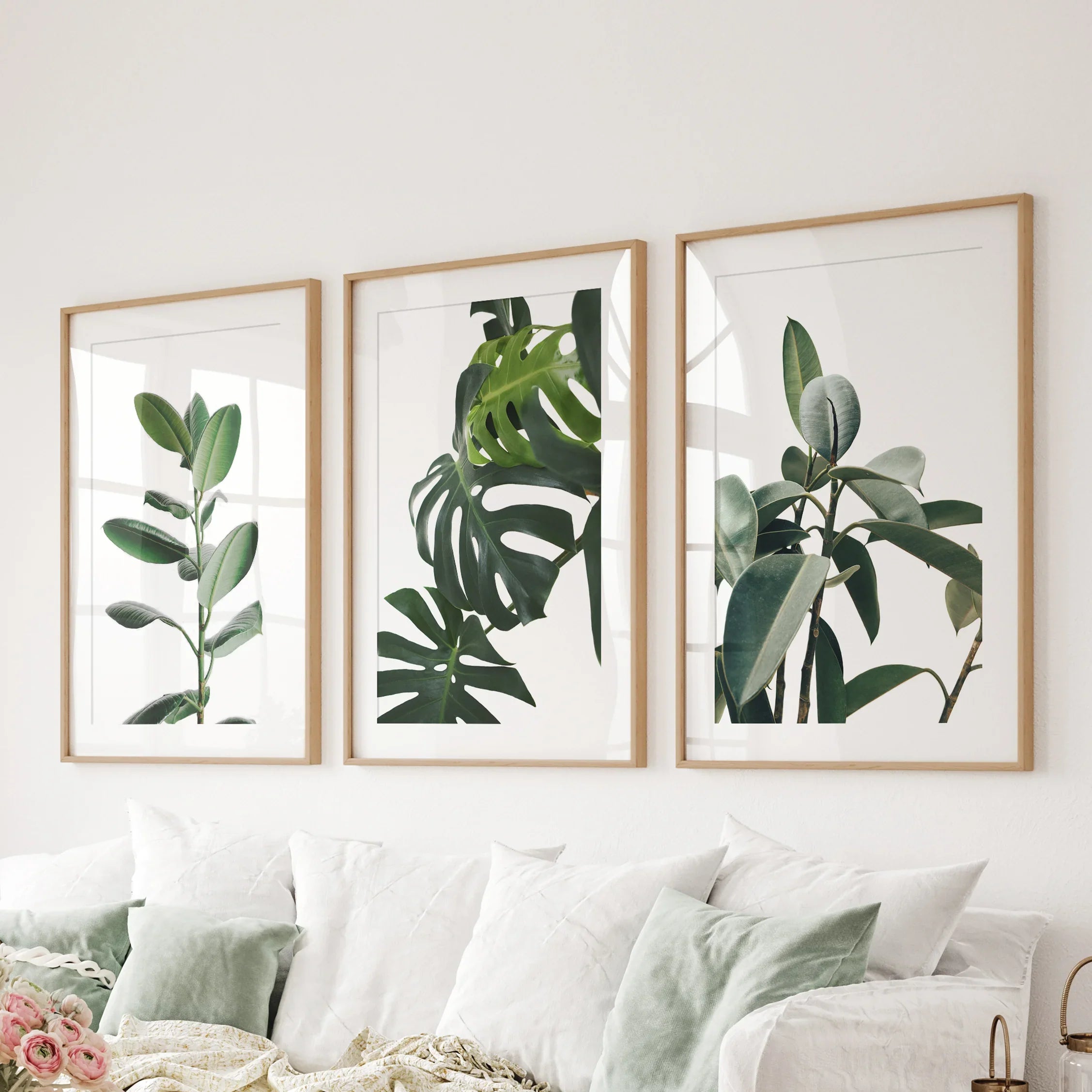 Botanical Set of 3 Prints. Tropical Monstera, Rubber Plant