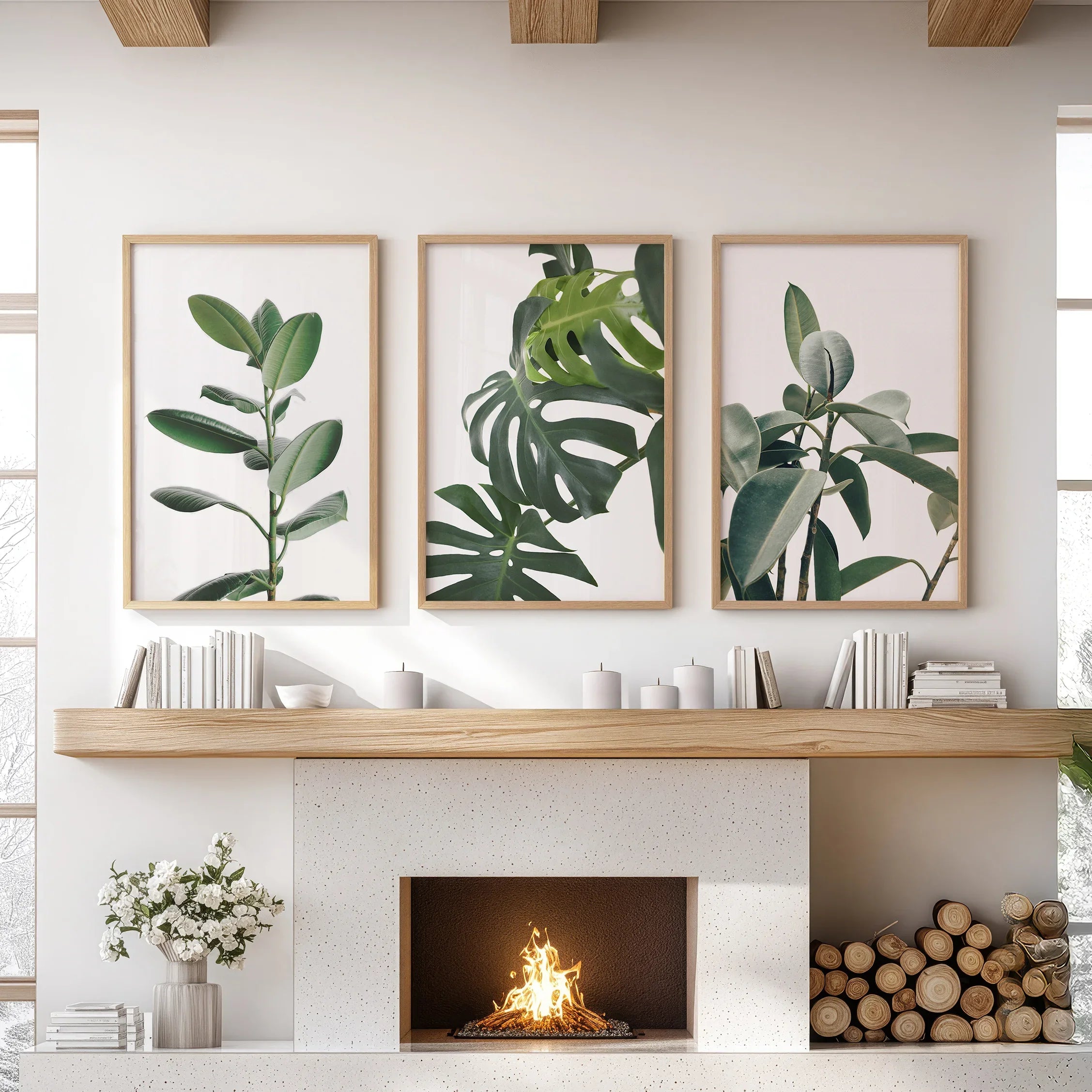 Botanical Set of 3 Prints. Tropical Monstera, Rubber Plant