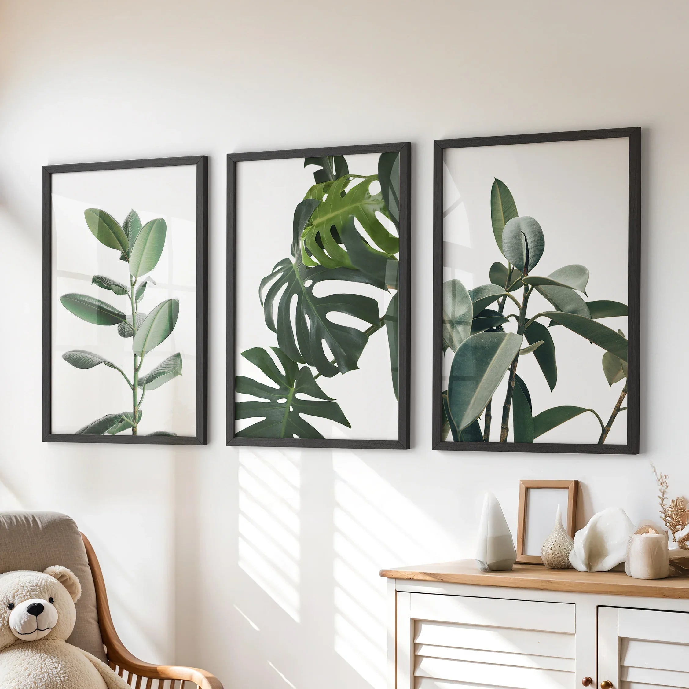 Botanical Set of 3 Prints. Tropical Monstera, Rubber Plant