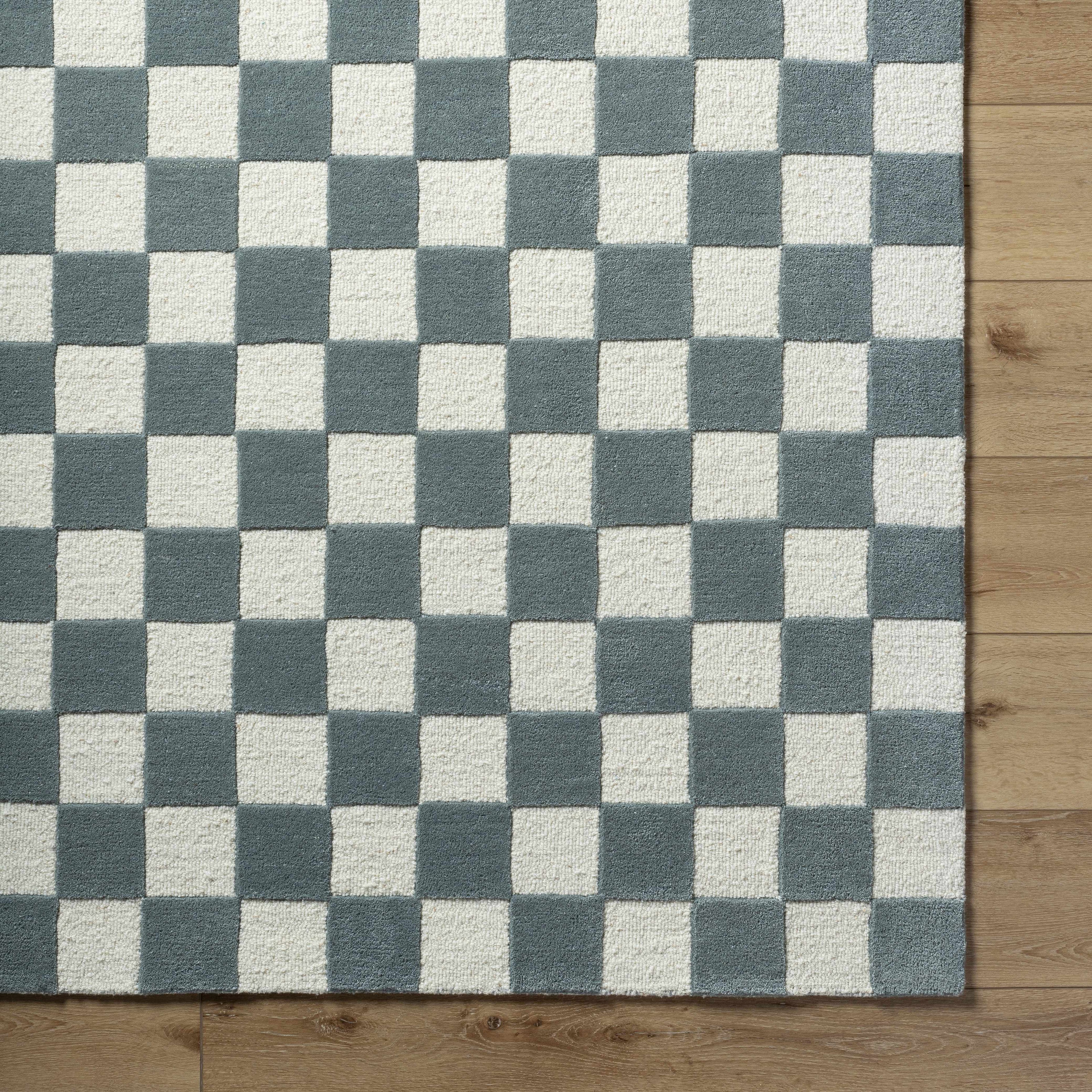 Timin Blue Gray Checkered Area Rug - Clearance