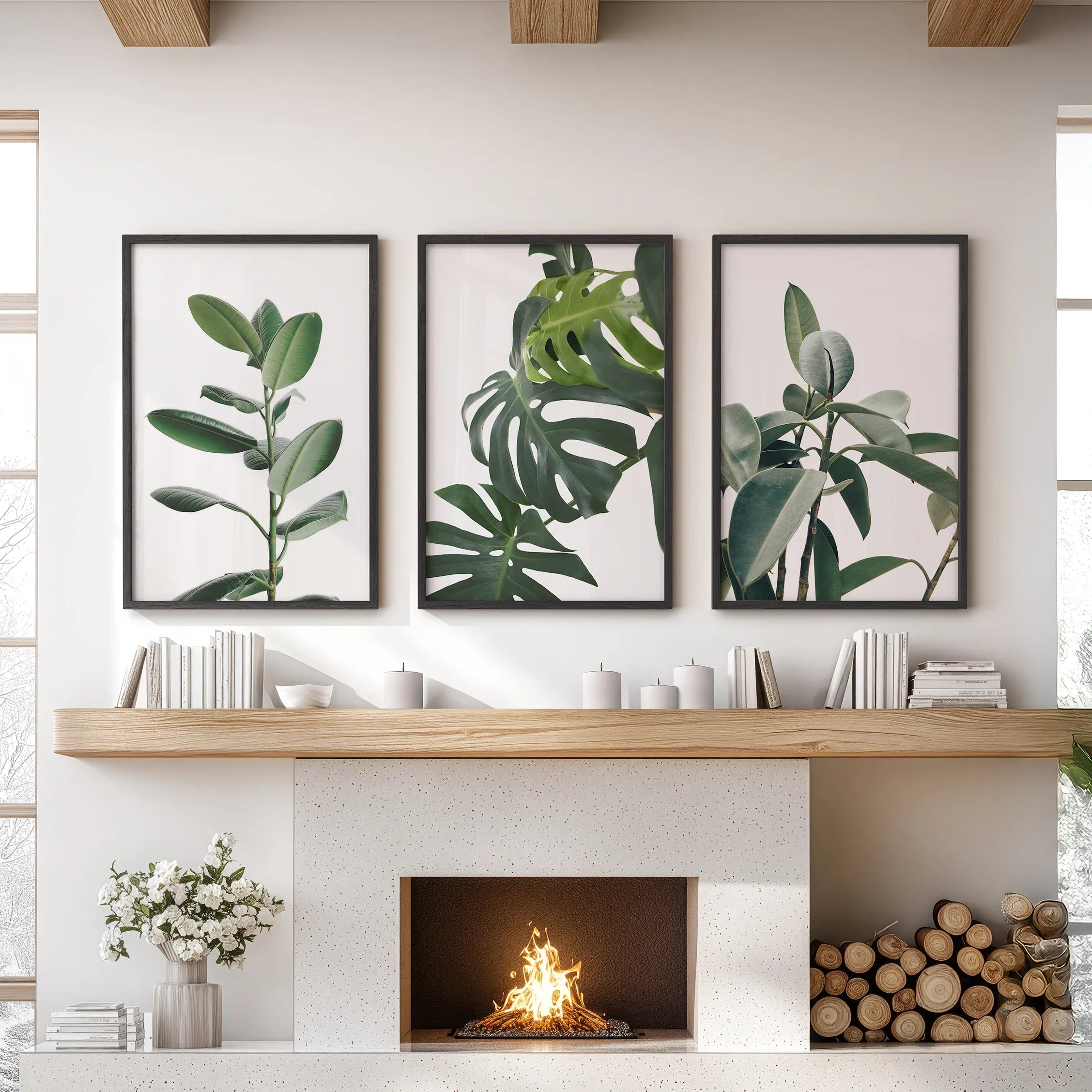 Botanical Set of 3 Prints. Tropical Monstera, Rubber Plant
