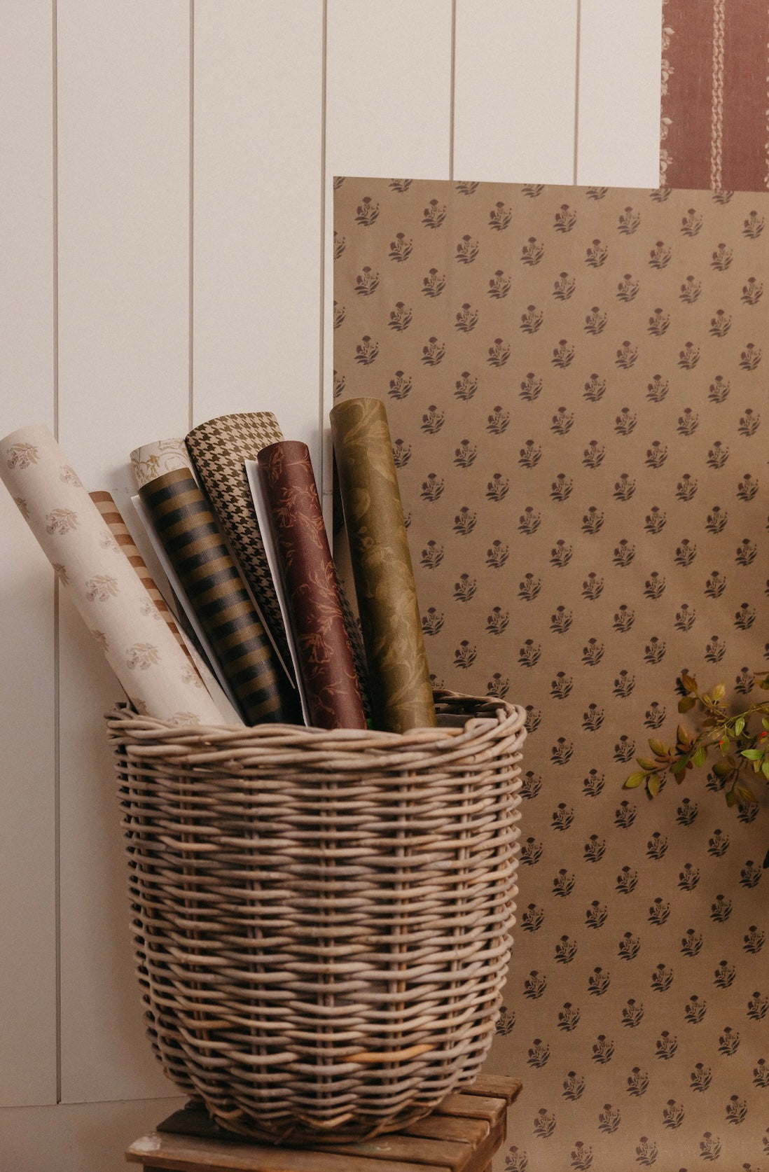 Ashbury Stripe Wallpaper by Safari Natalia x Taddy Mikelaites